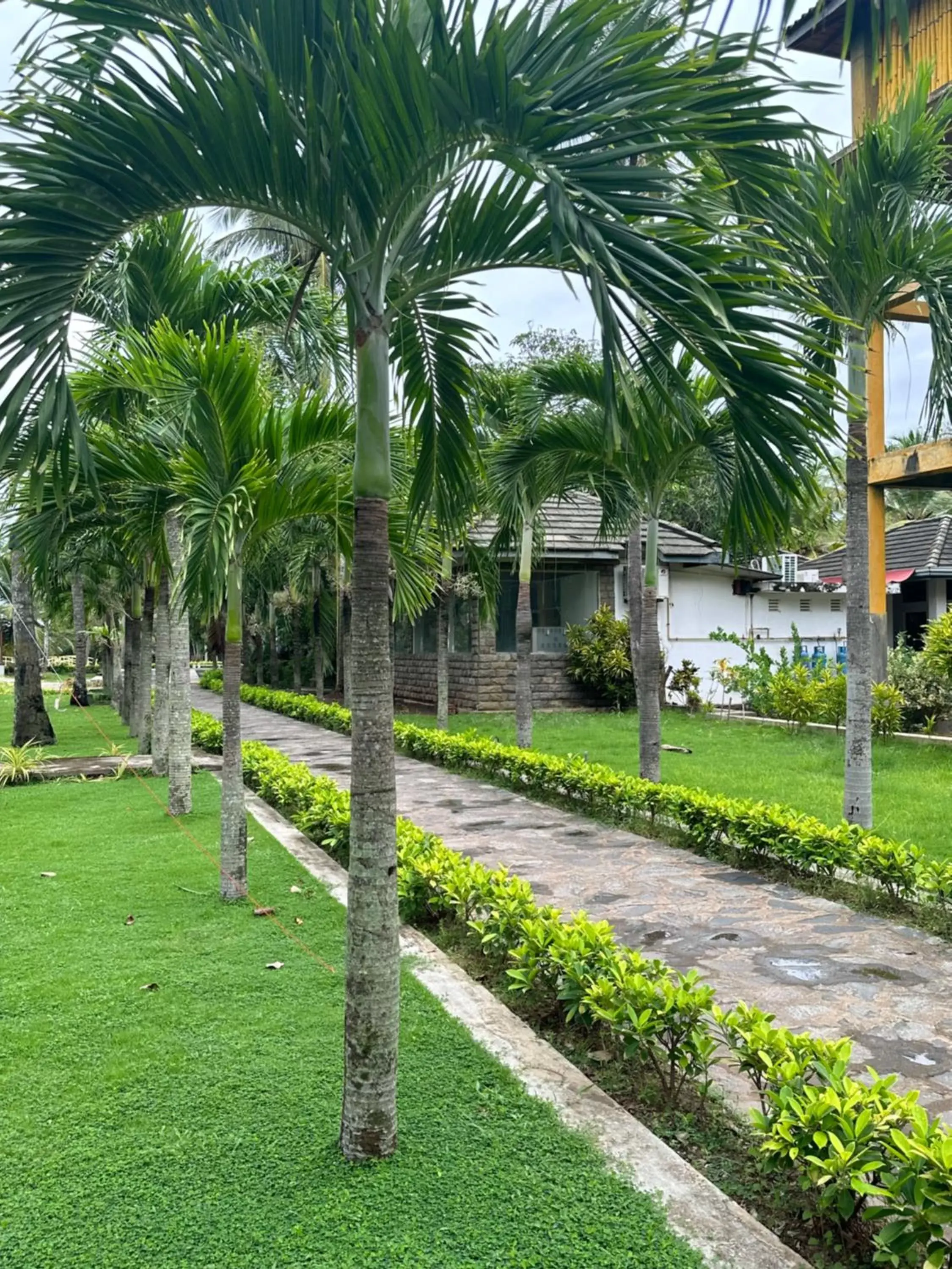 Property building in Amaluna Resorts Property building in Amaluna Resorts