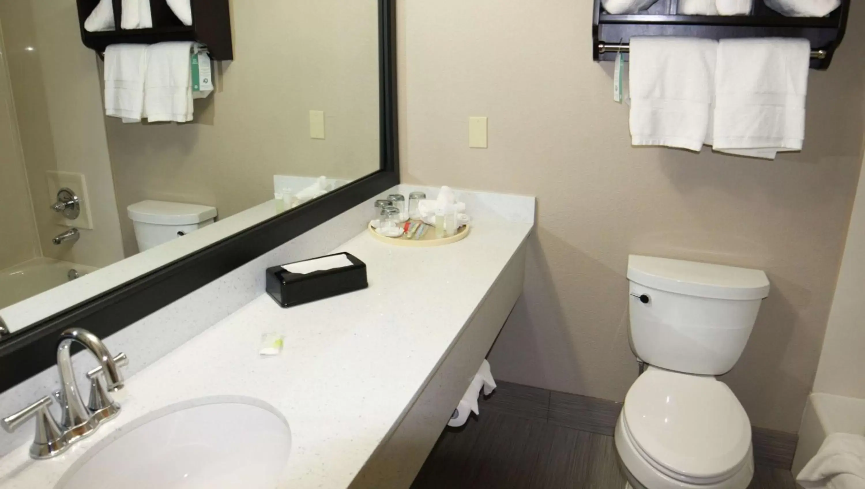 Bathroom in SureStay Plus Hotel by Best Western Plano