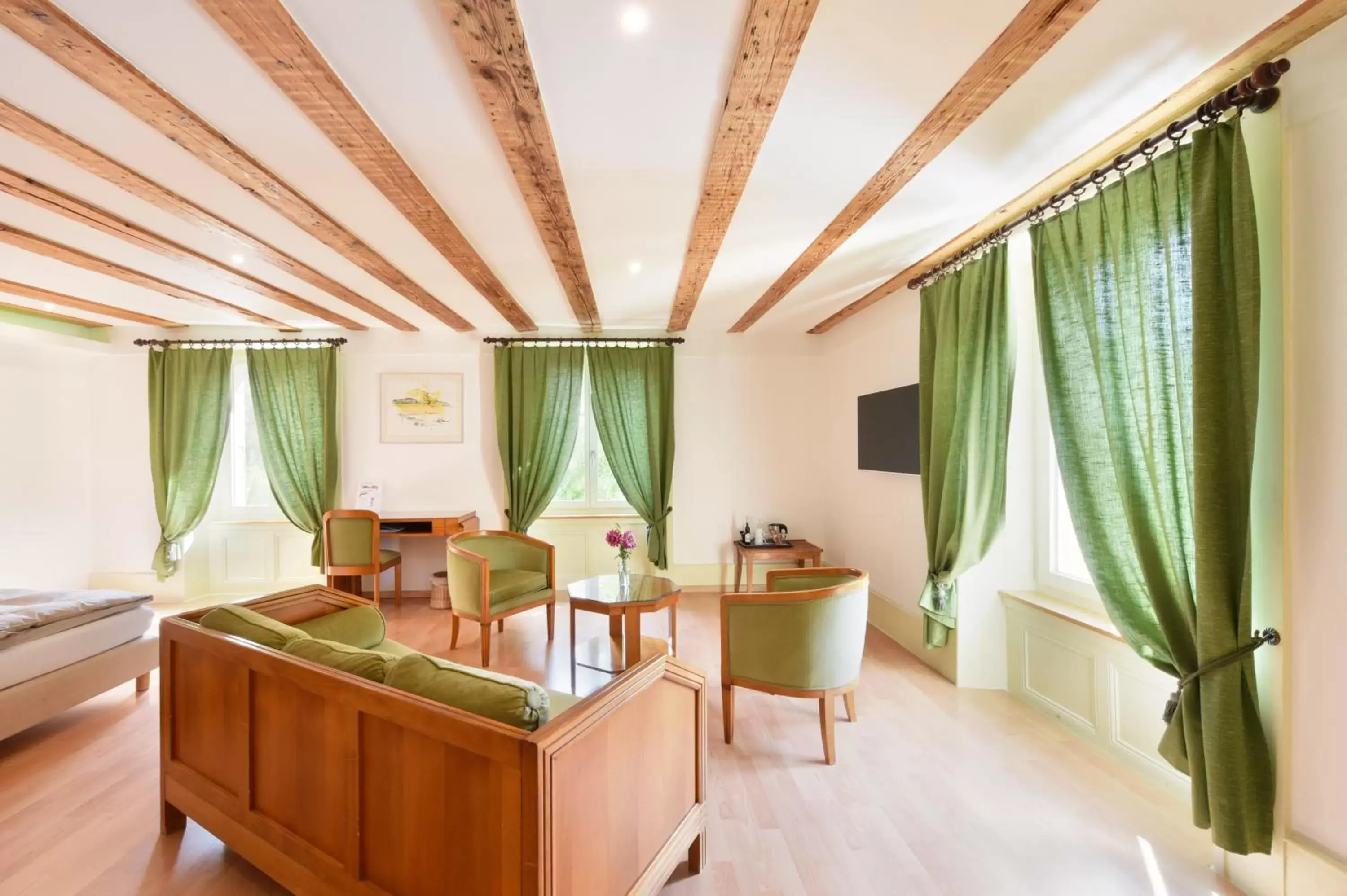 TV and multimedia, Seating Area in Hôtel de l'Aigle