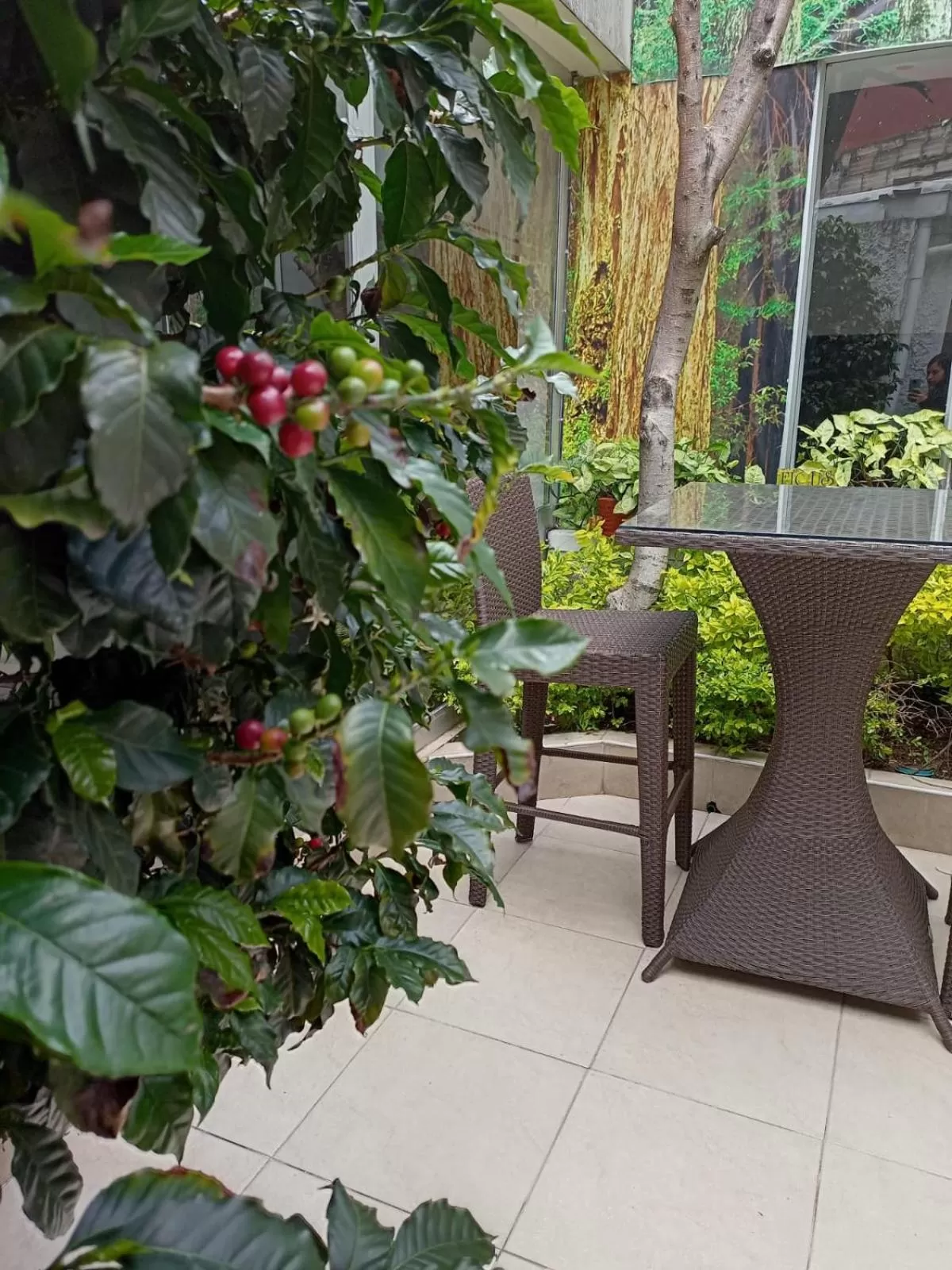 Property building in Hotel Marbella Chico