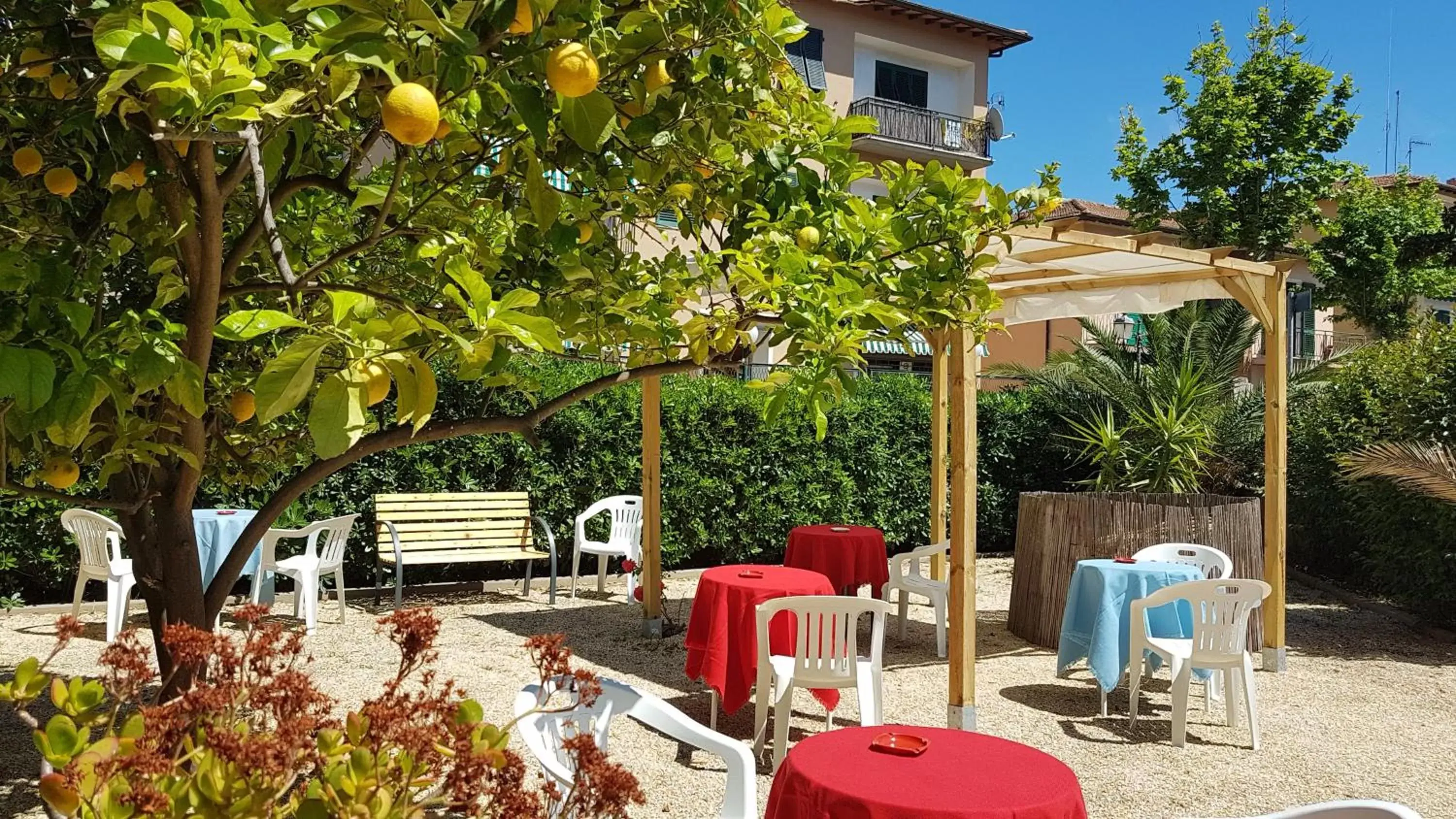 Garden in Hotel VILLA ITALIA