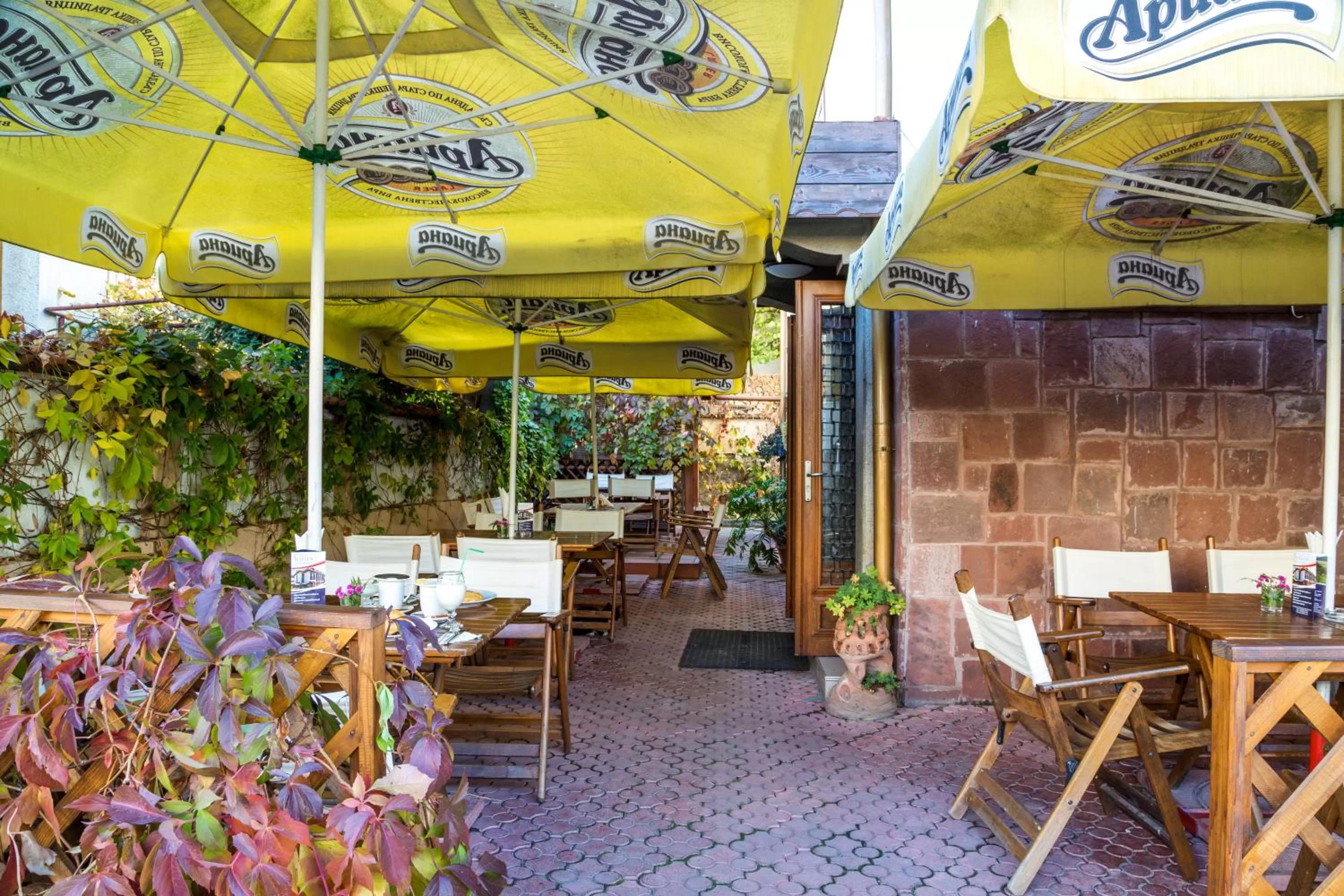 Garden in Family Hotel Teteven