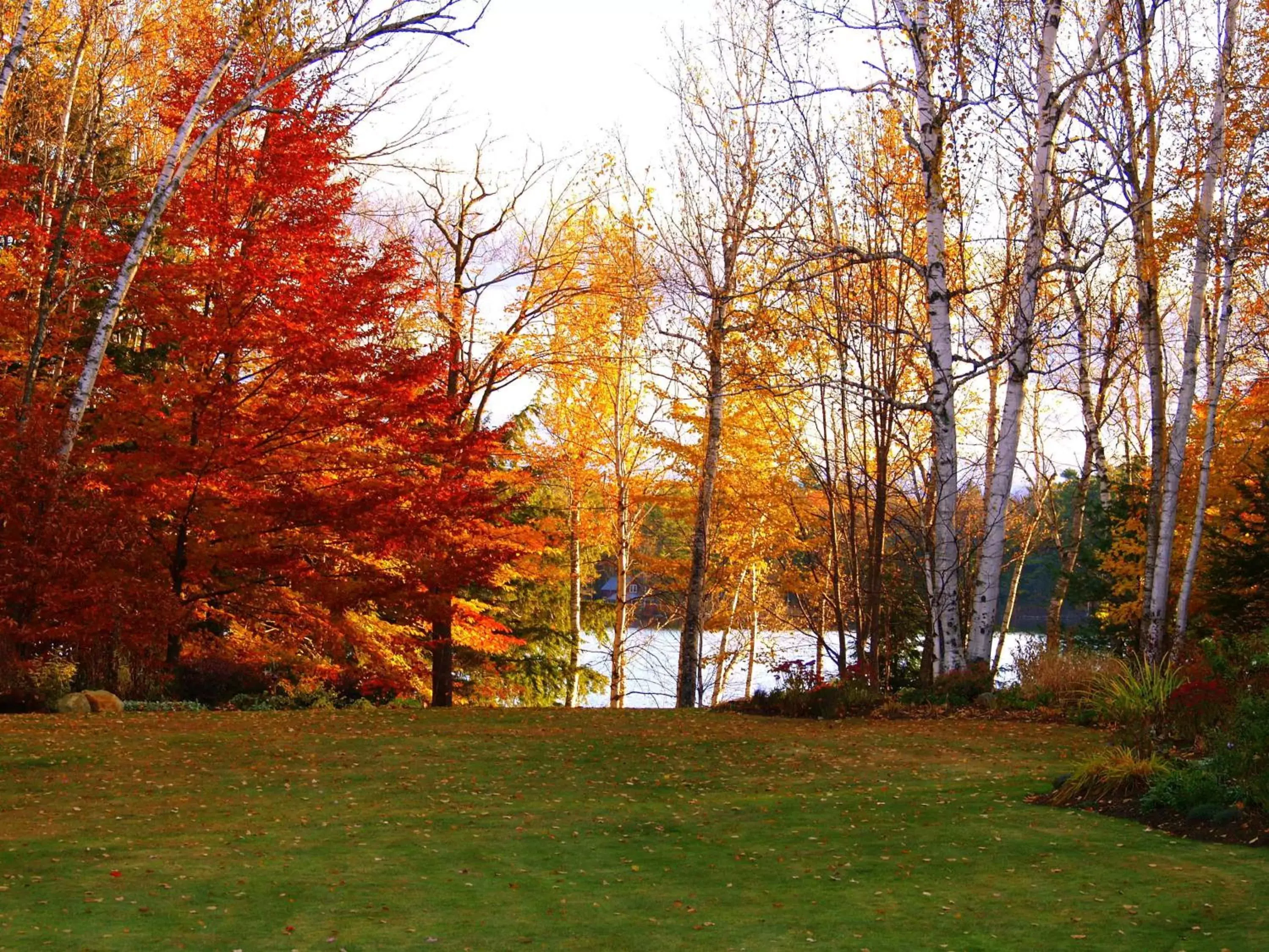 Day, Garden in Wilson Lake Inn