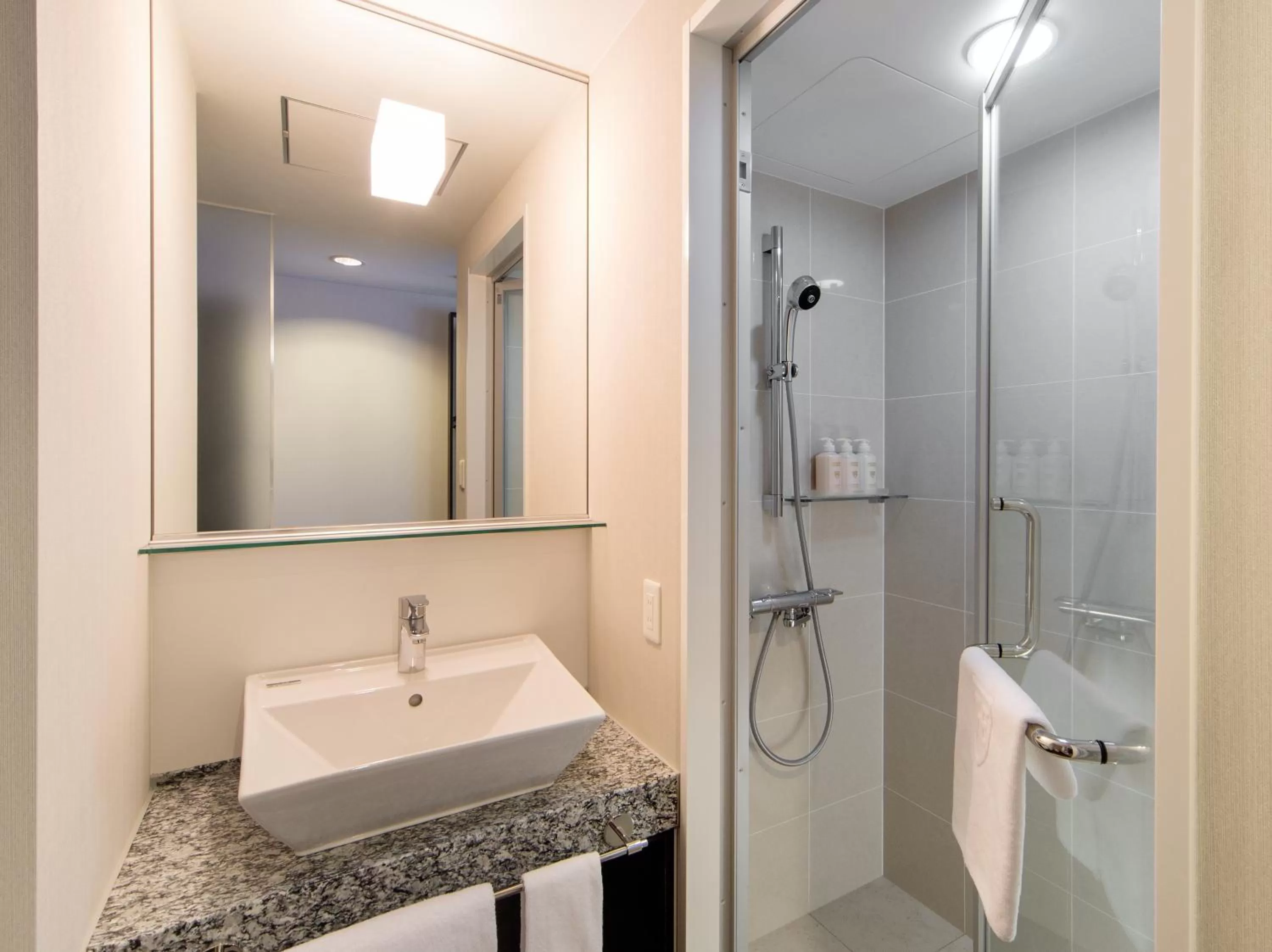 Photo of the whole room in The Royal Park Canvas Nagoya