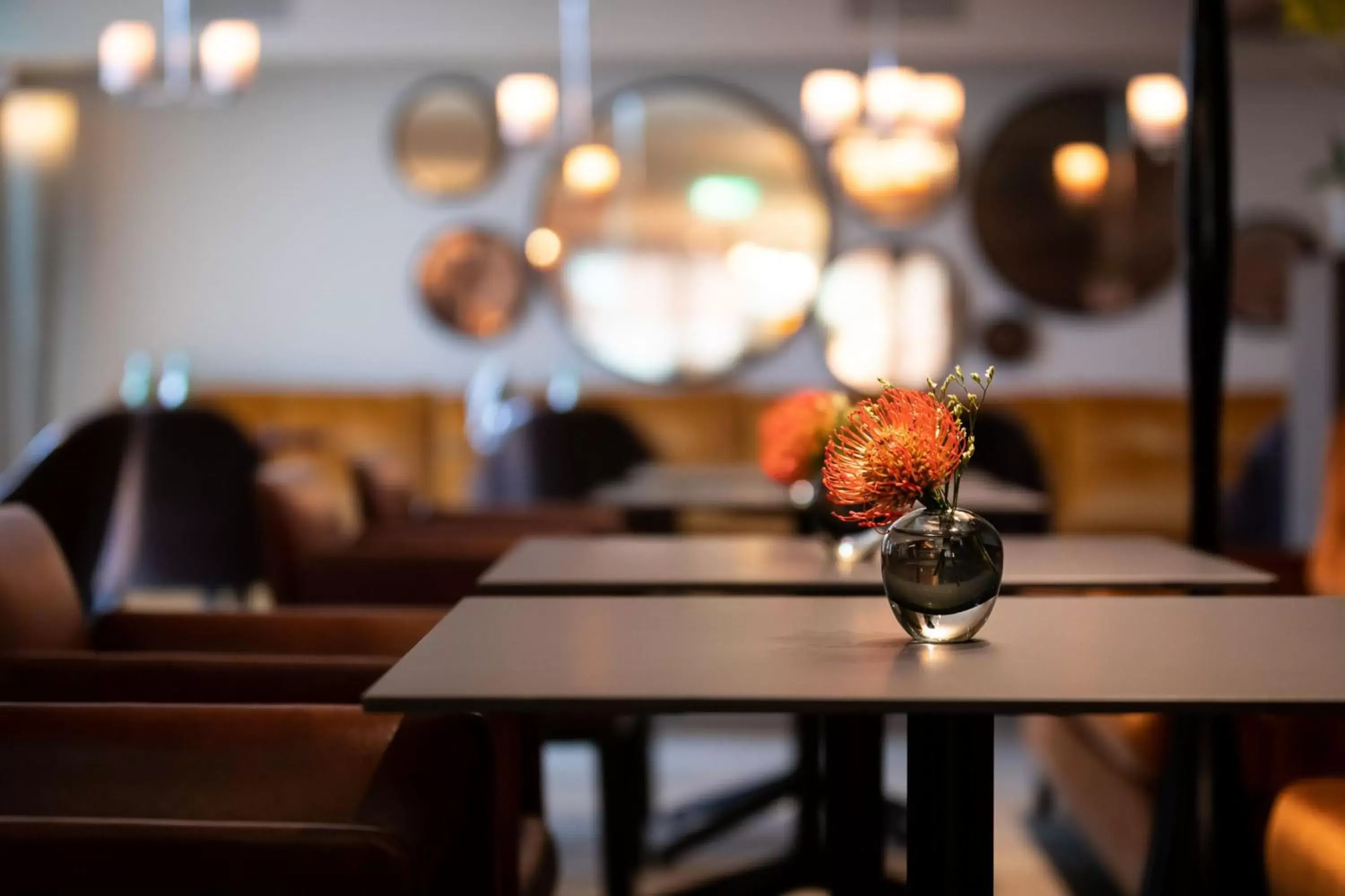 Restaurant/places to eat in Design Hotel f6 Restaurant/places to eat in Design Hotel f6