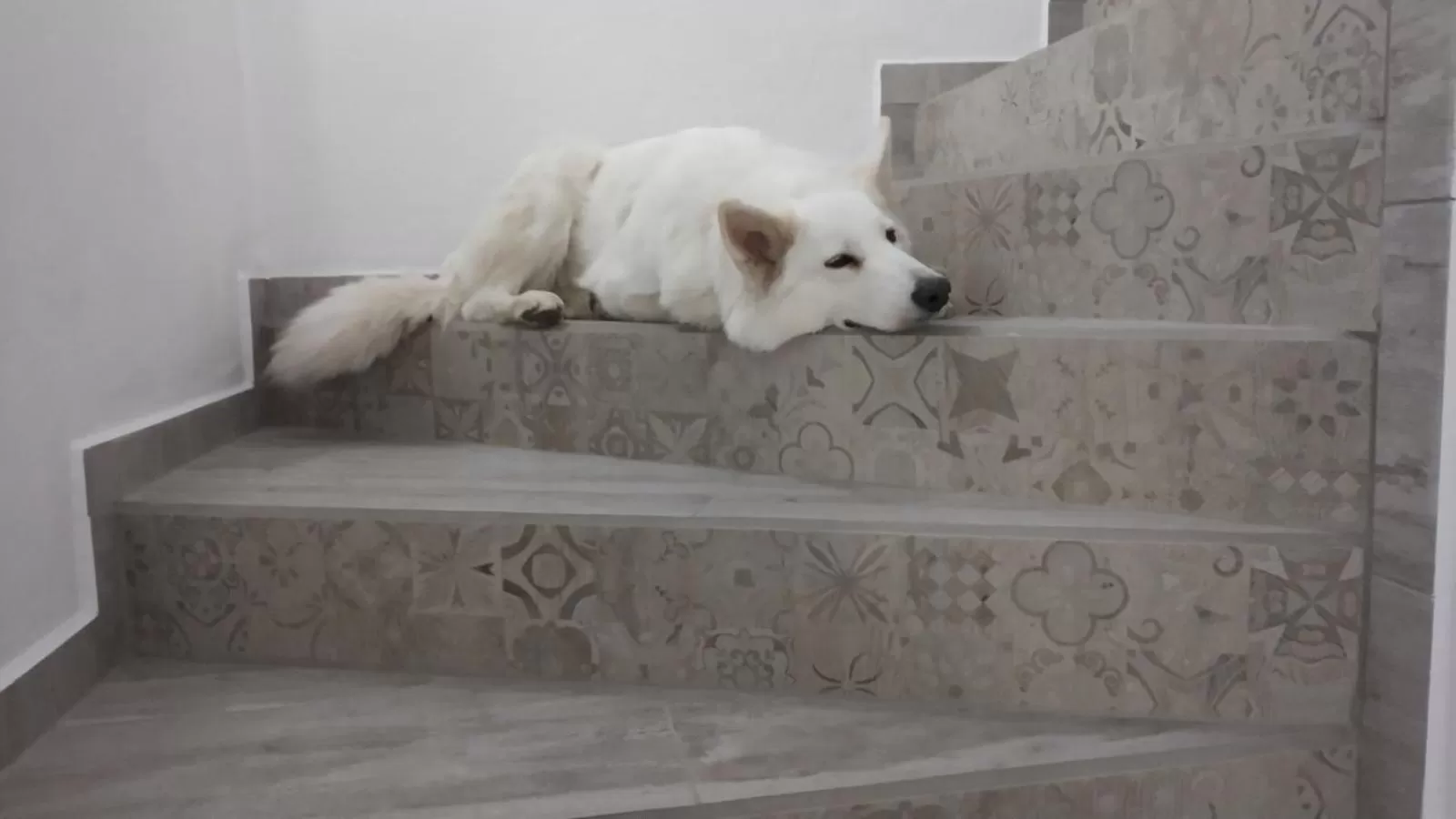 Summer in Victoria Family Hotel