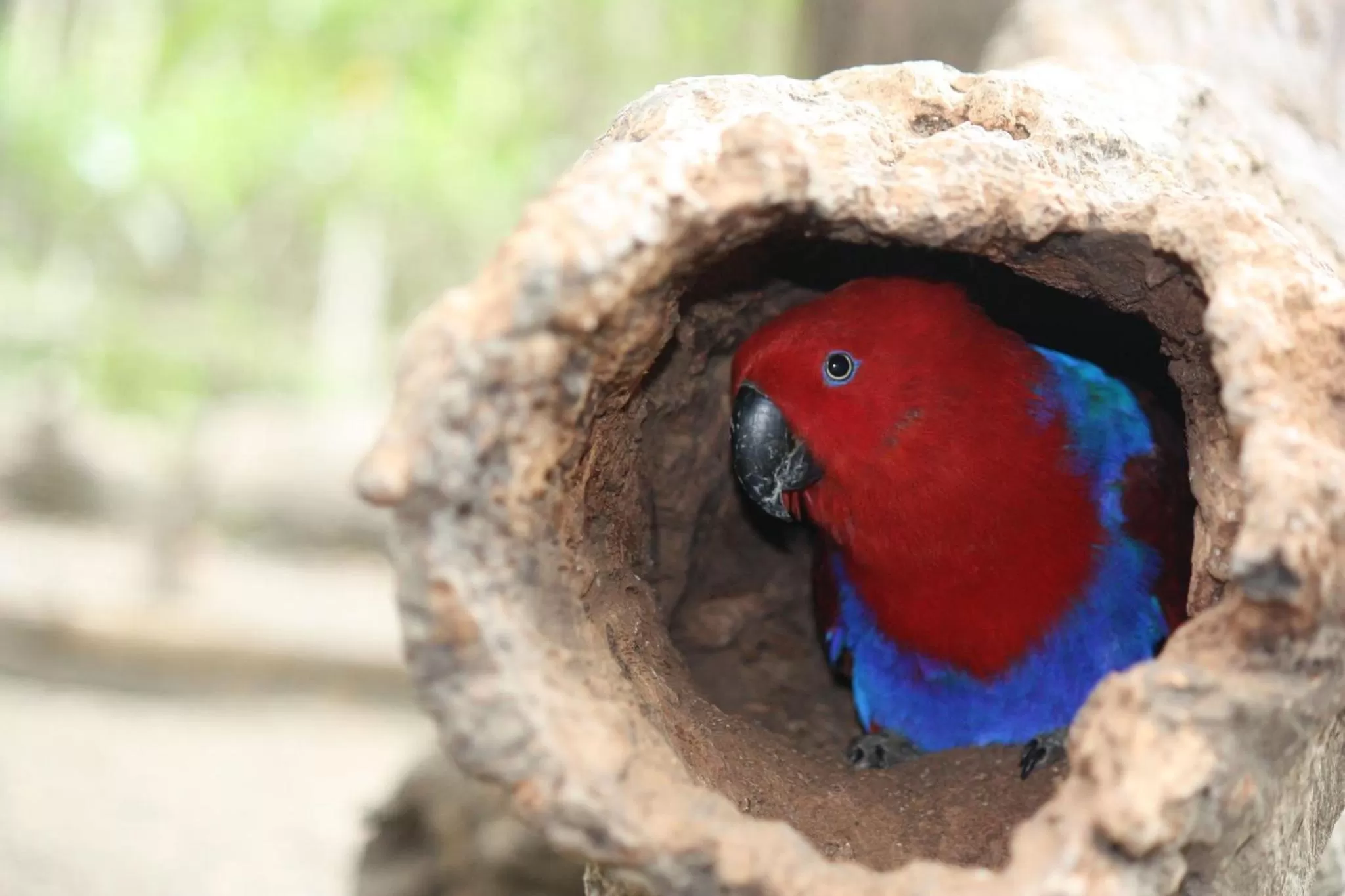 Nearby landmark in Holiday Inn Express Port Moresby by IHG