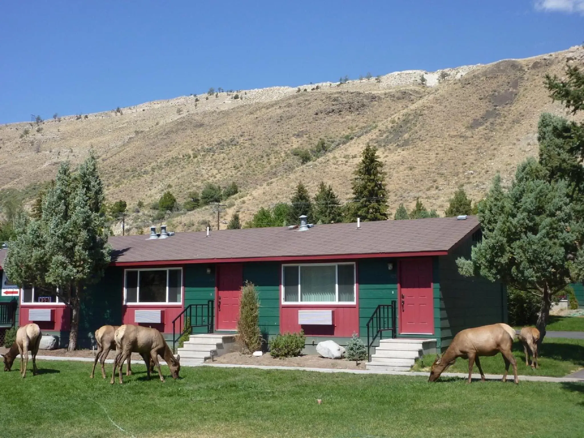 Property building, Other Animals in Yellowstone Gateway Inn