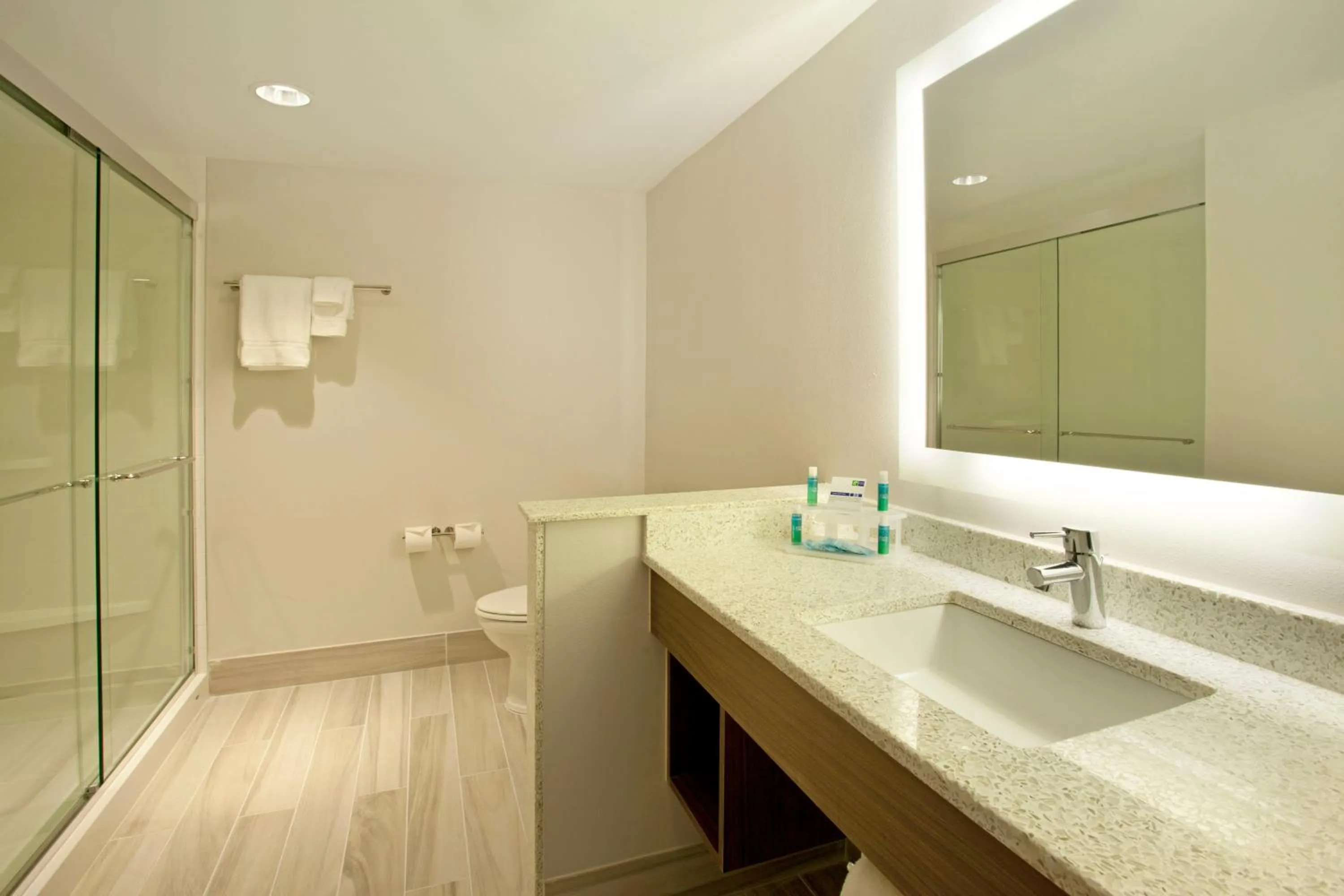 Bathroom in Holiday Inn Express Hotel & Suites Austin Downtown - University by IHG
