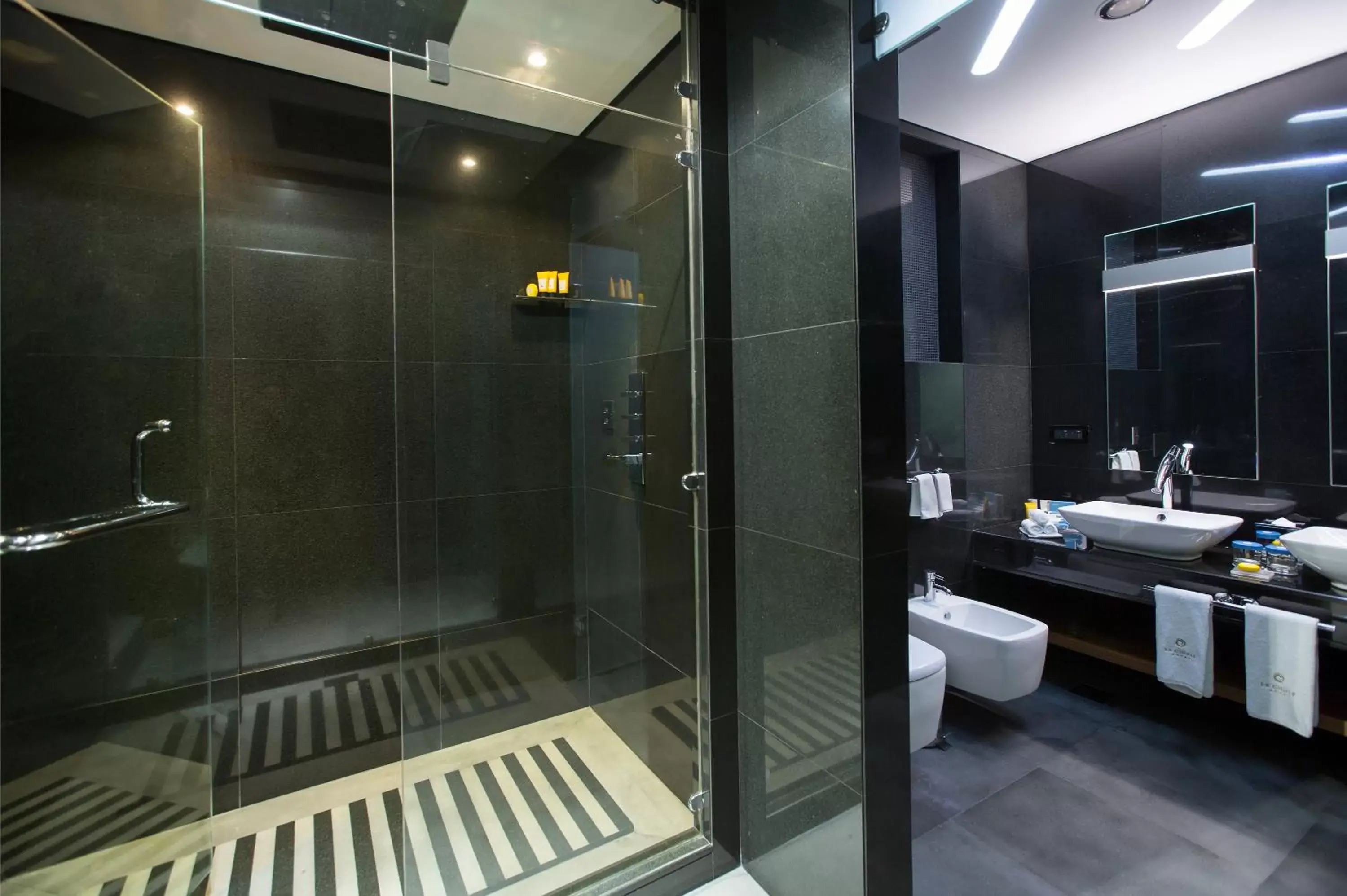 Shower, Bathroom in La Cigale Hotel Managed by Accor