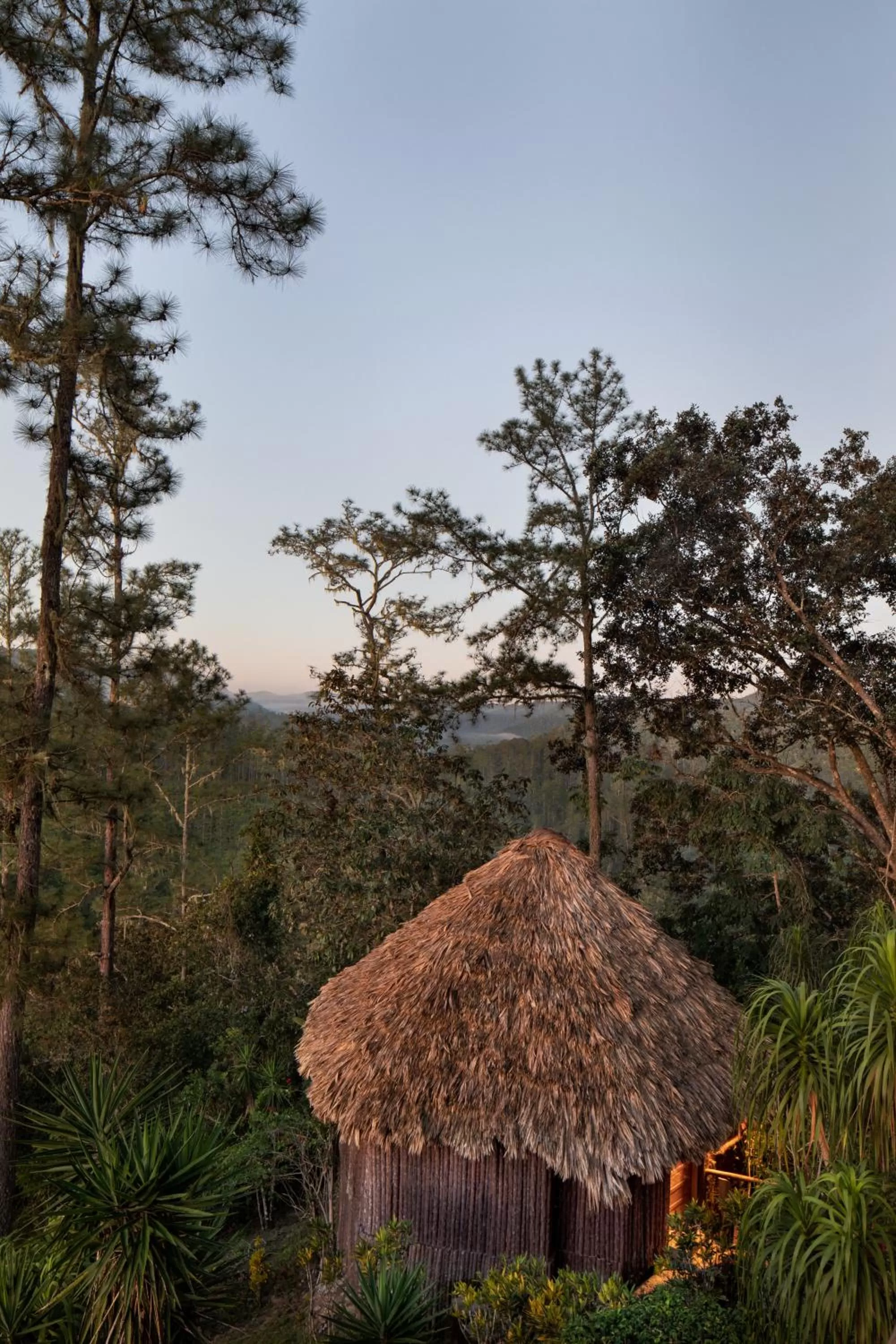 Natural landscape in Gaia Riverlodge
