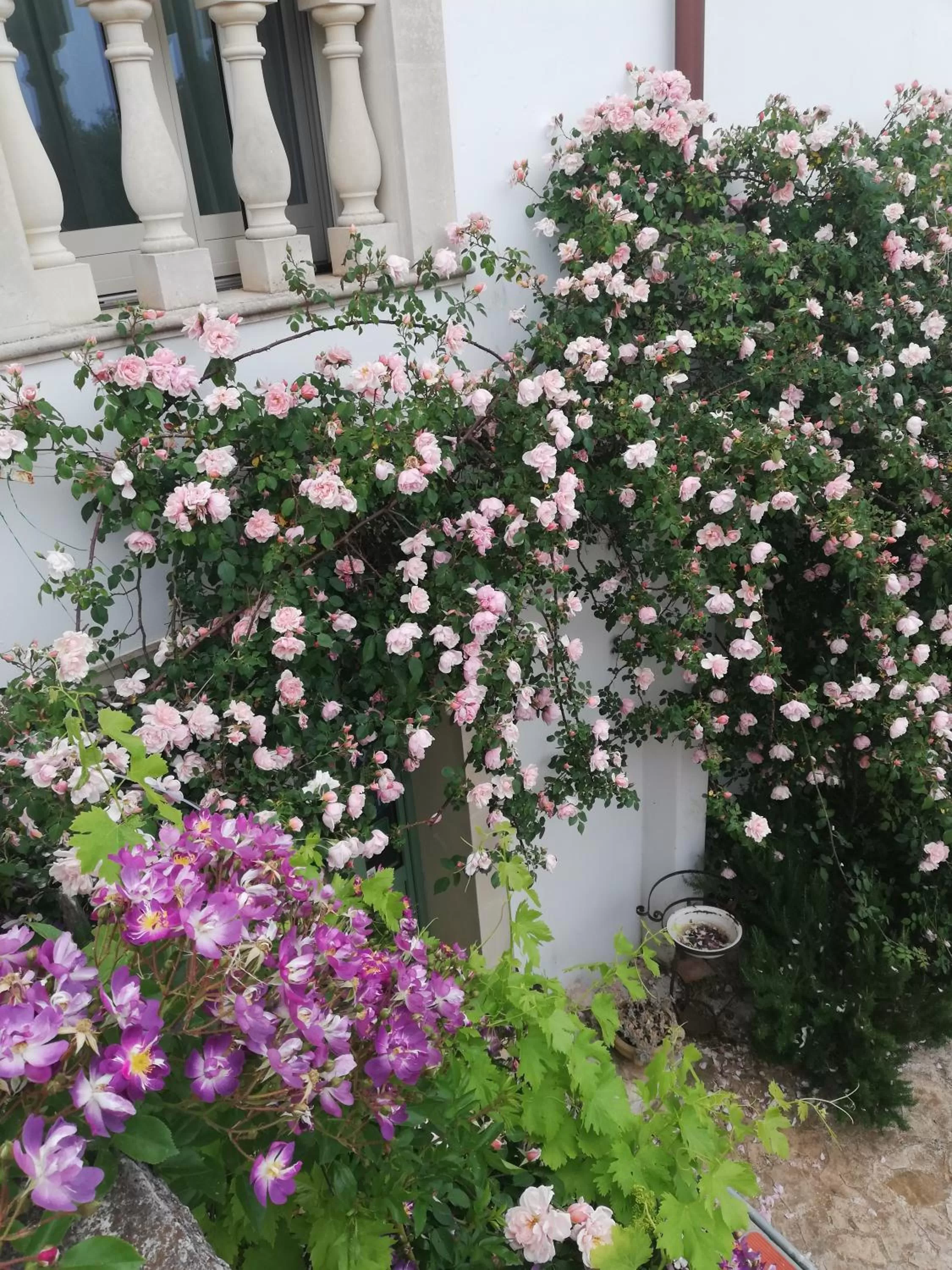 Property building in B&B Giovannarolla Green House