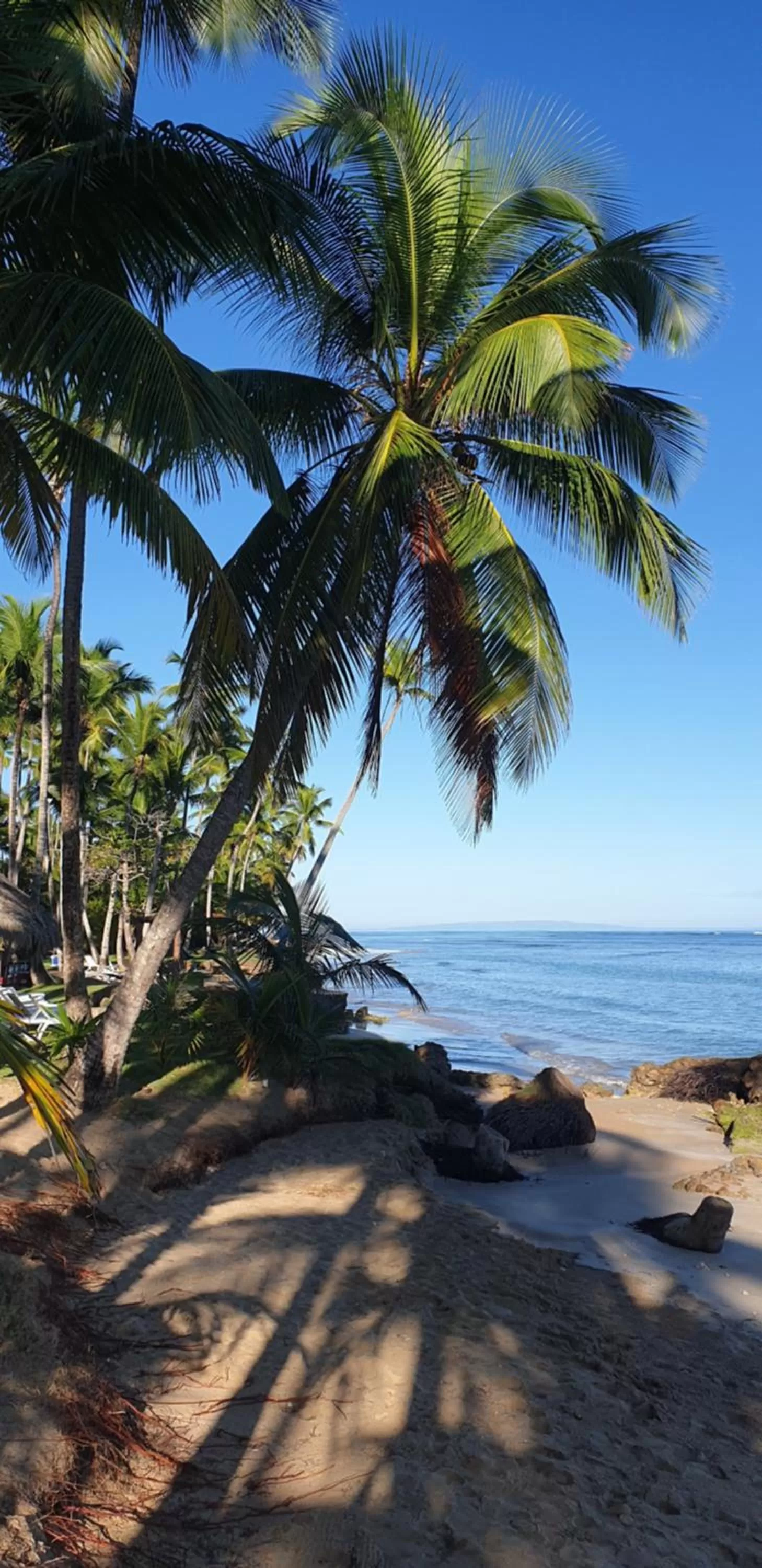 Beach in Hotel Atlantis