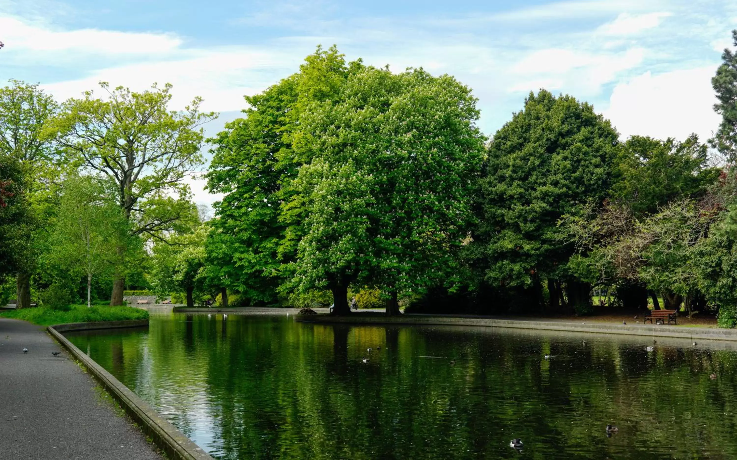 Garden in Herbert Park Hotel and Park Residence