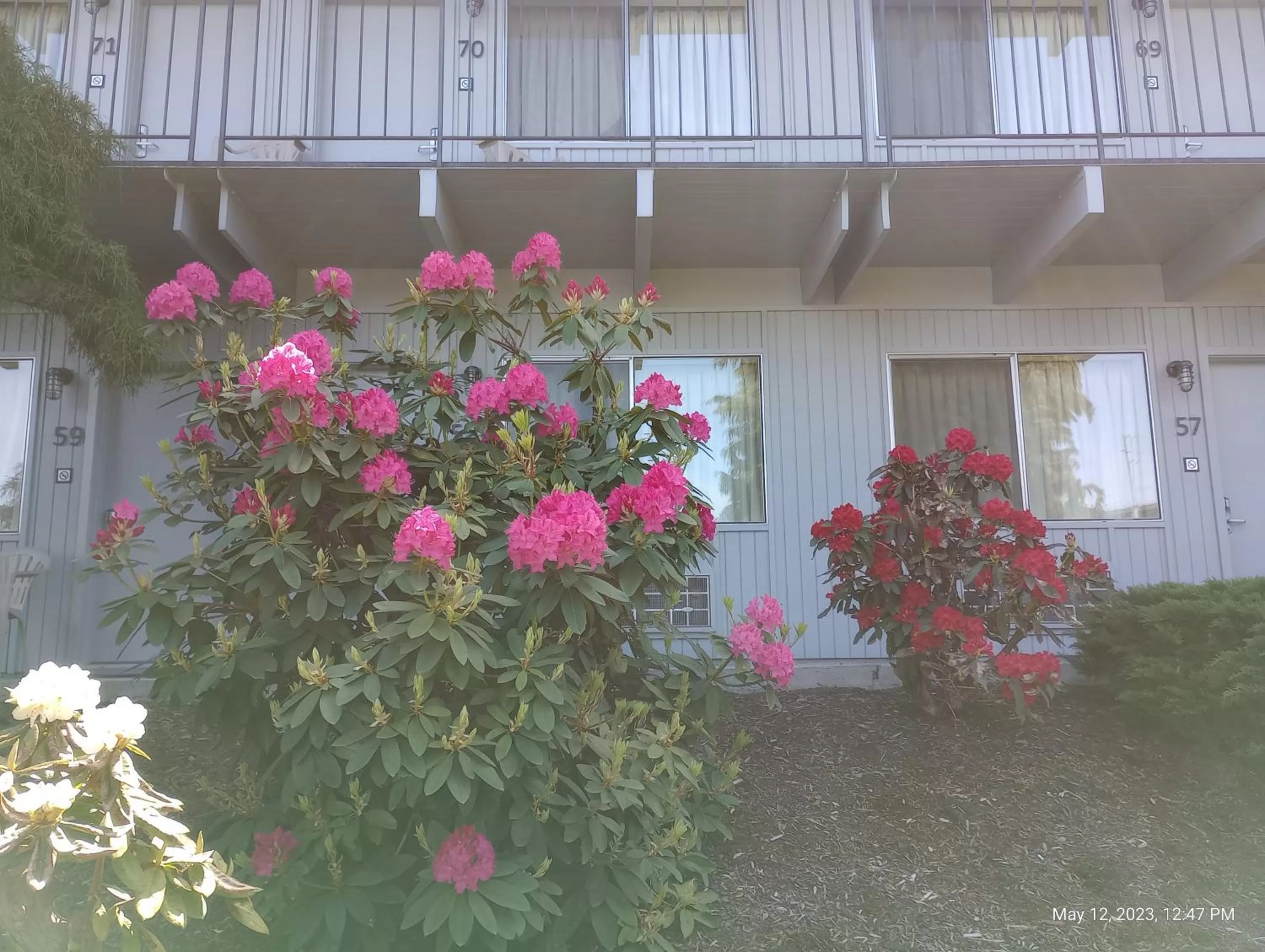 Property building in Cocusa Motel