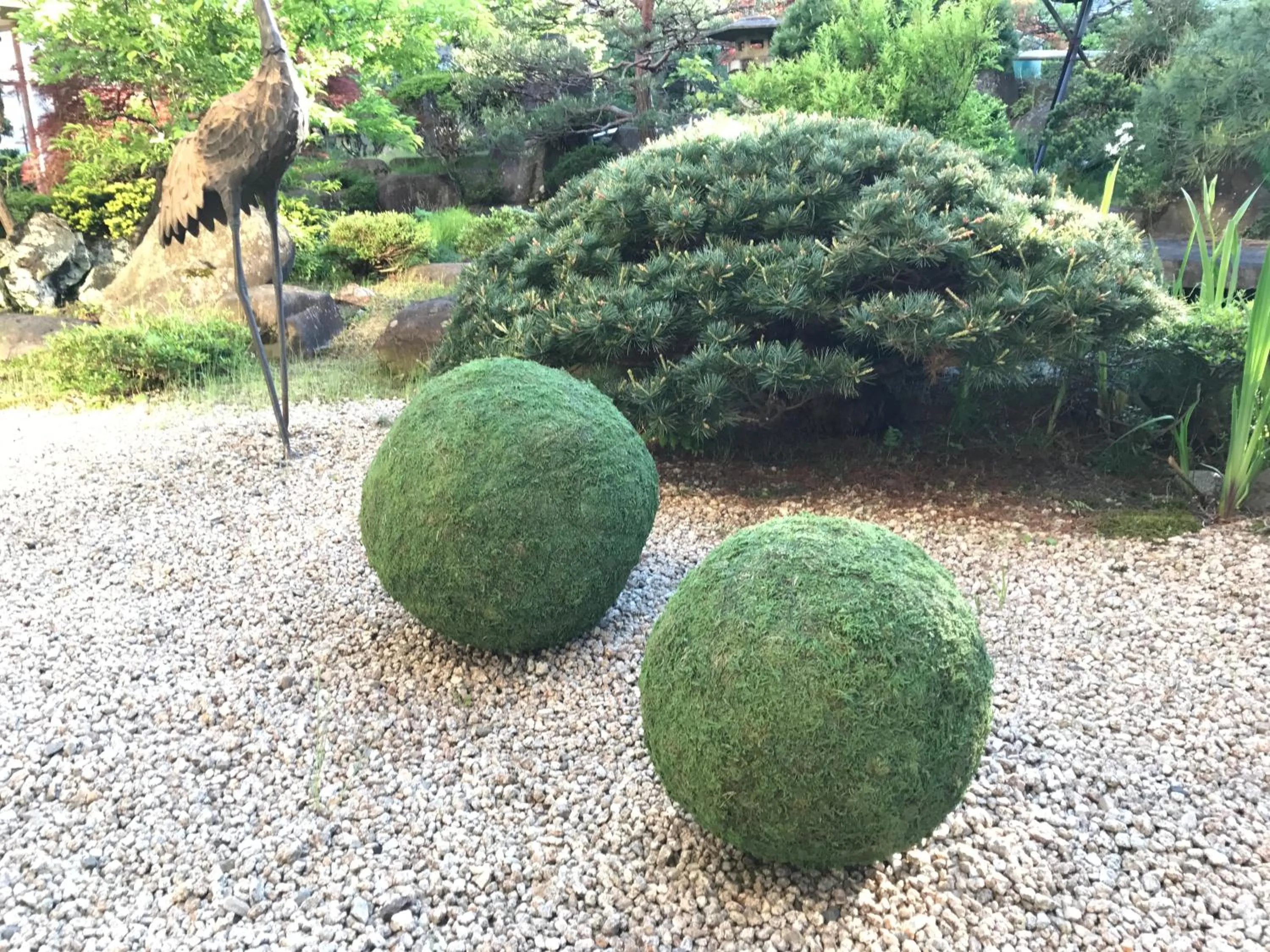 Summer in Hohoemino Kuyufu Tsuruya