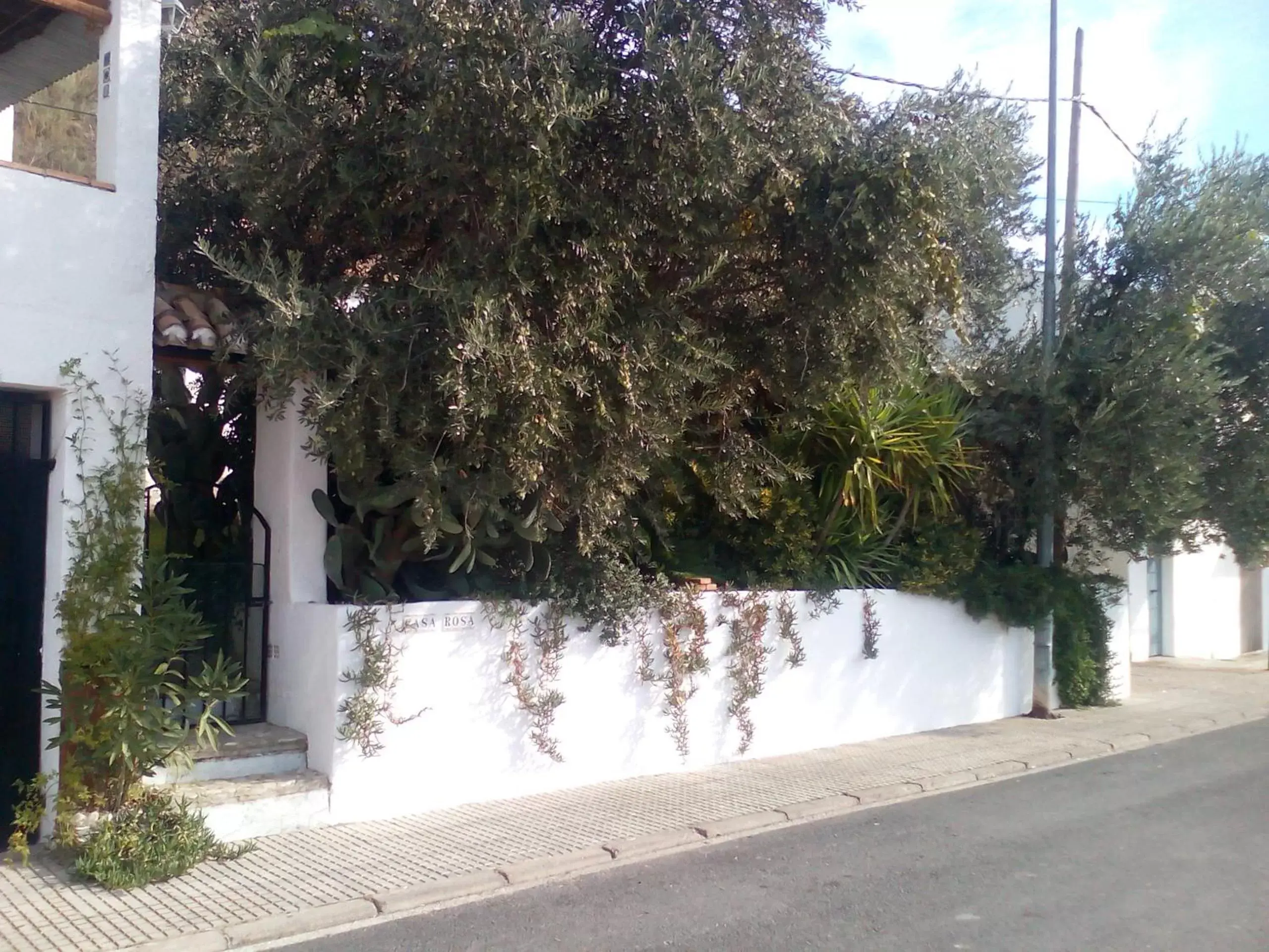 Facade/entrance in Casa La Rosa