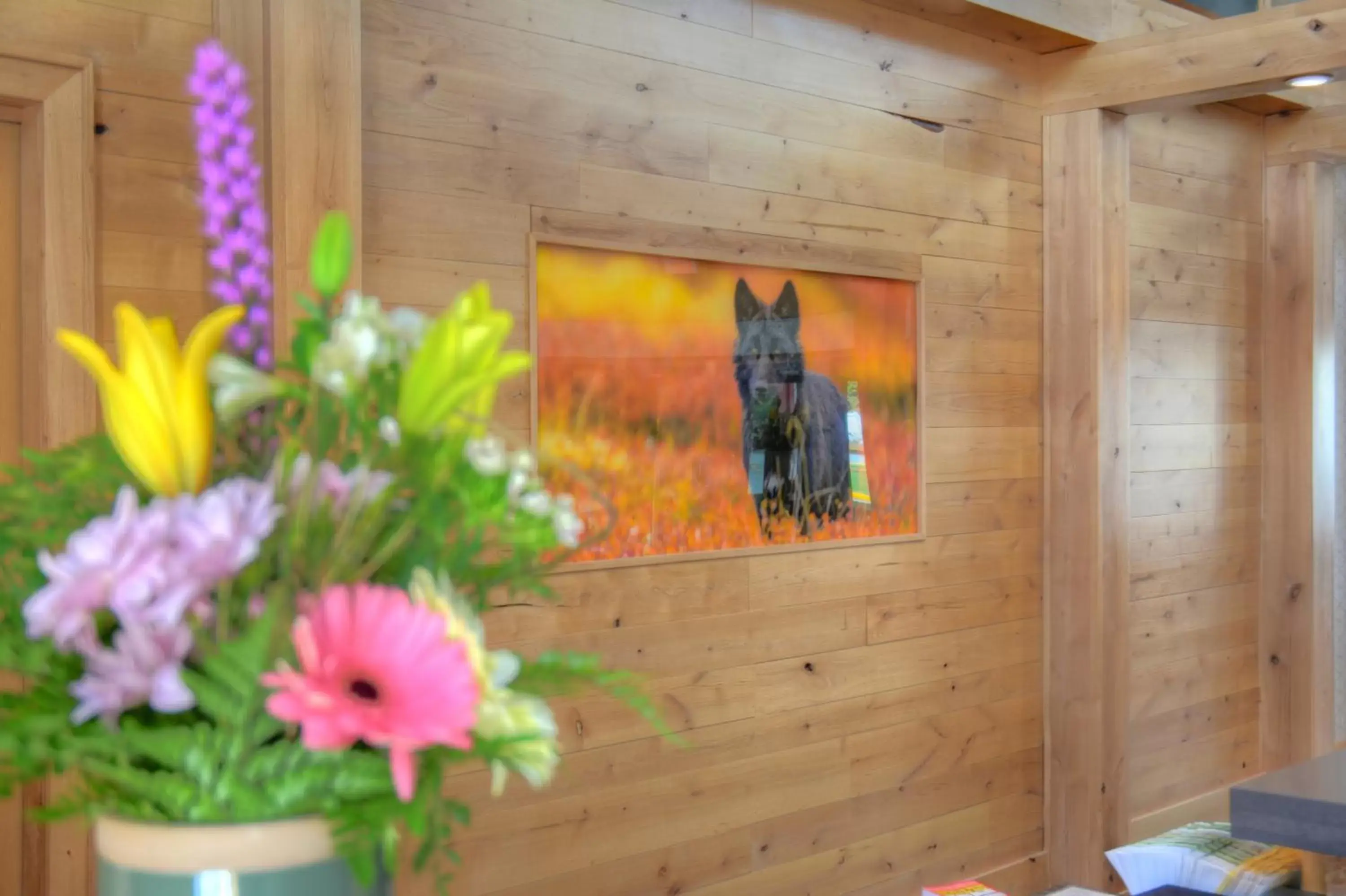 Decorative detail, Pets in Banff Rocky Mountain Resort
