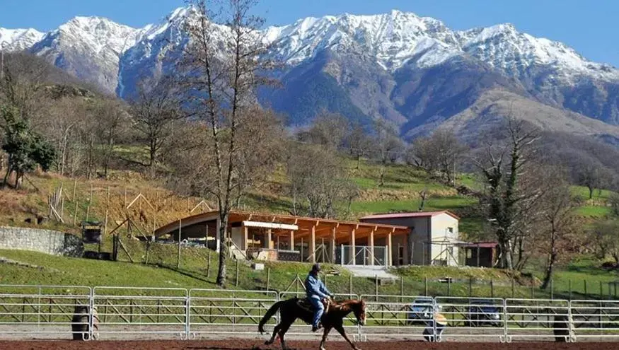 Horse-riding in Albergo Miramonti