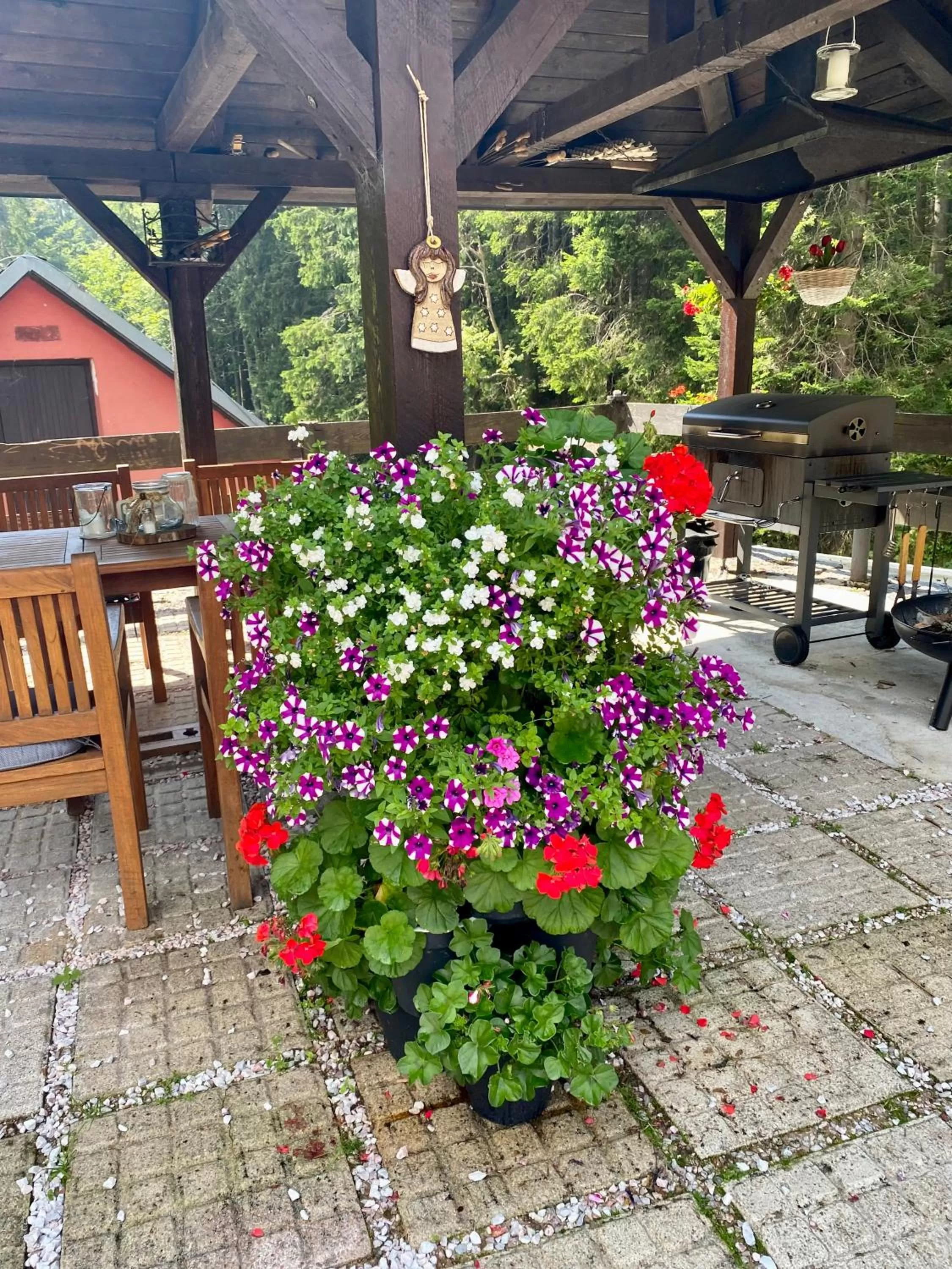 Restaurant/places to eat in Hotel Petski