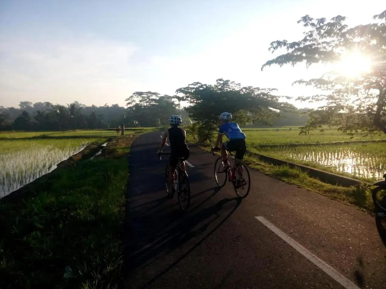 Cycling in The Samara Villas & Restaurant