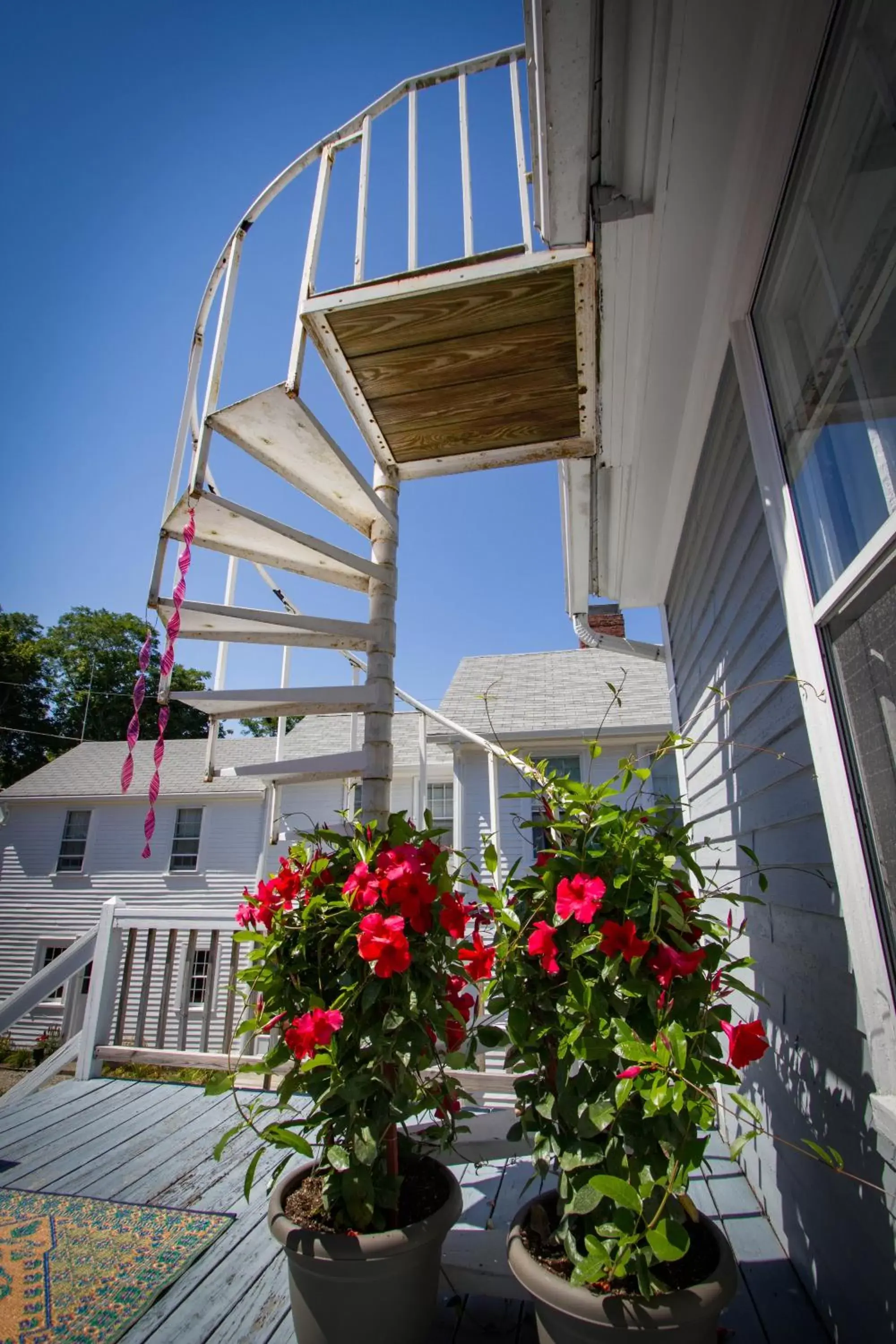 Property Building in Sally Webster Inn