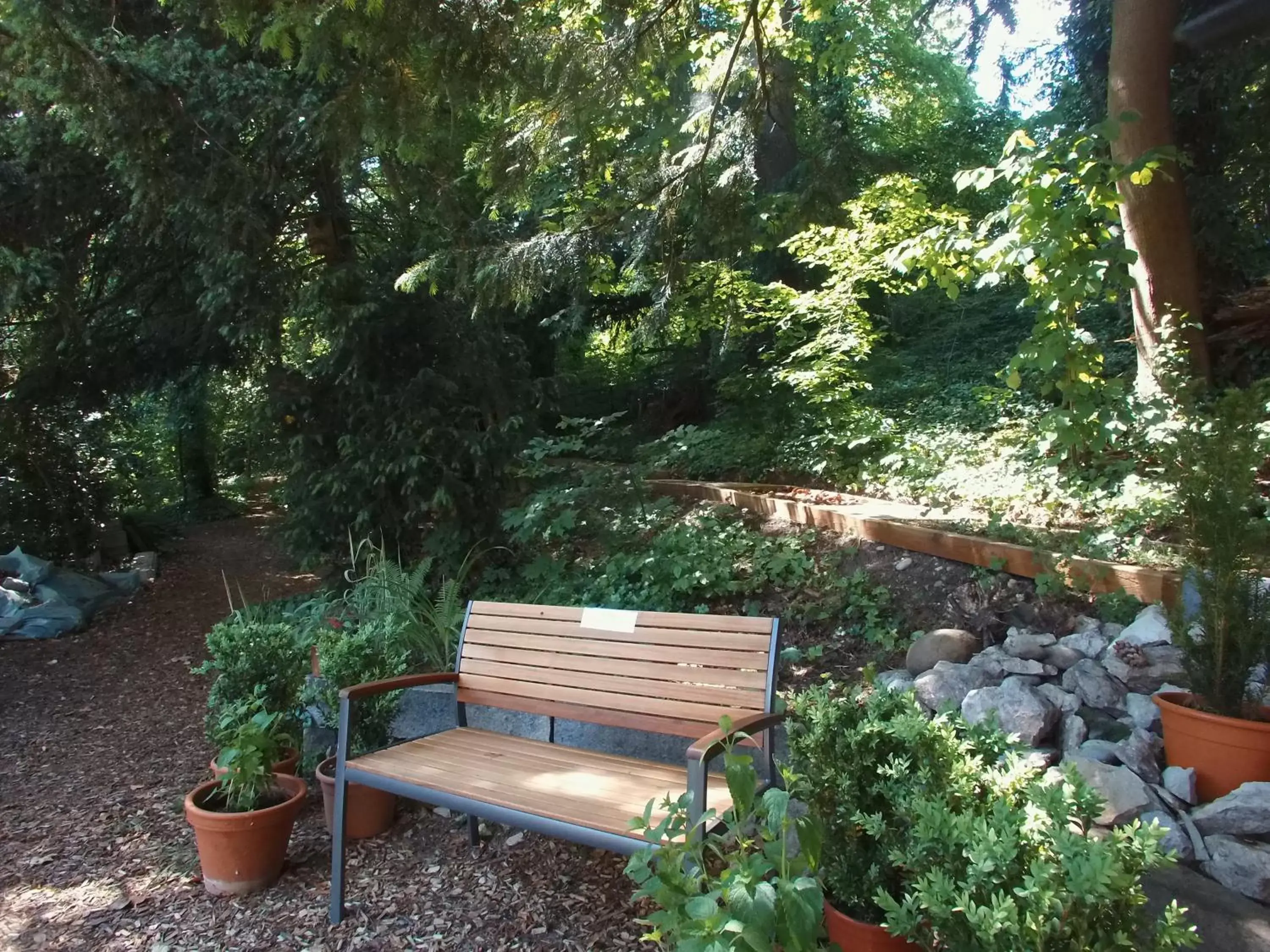 Garden in Hotel Promenade