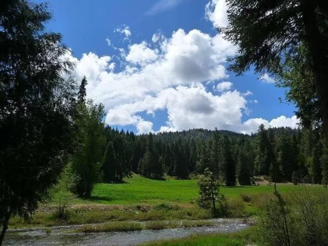 View (from property/room) in Big Creek Inn