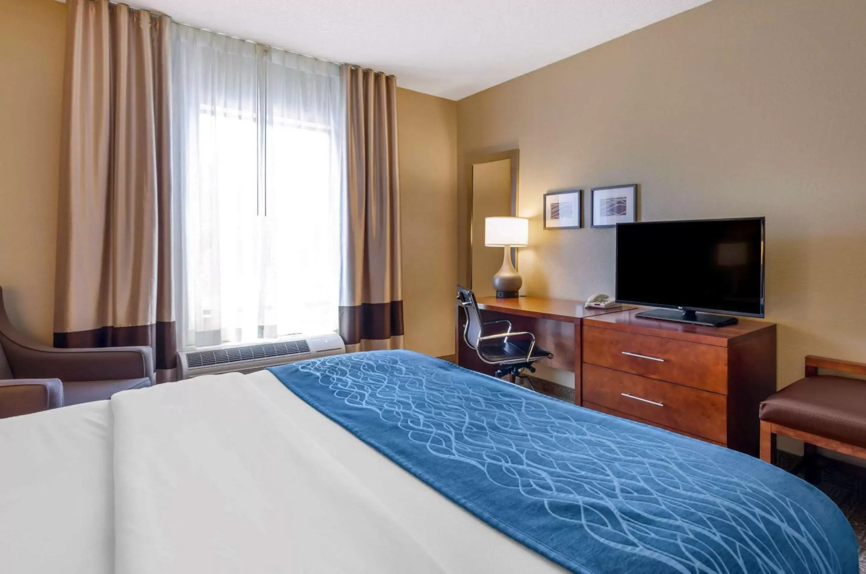 Photo of the whole room, Bed in Comfort Inn & Suites Lynchburg Airport - University Area