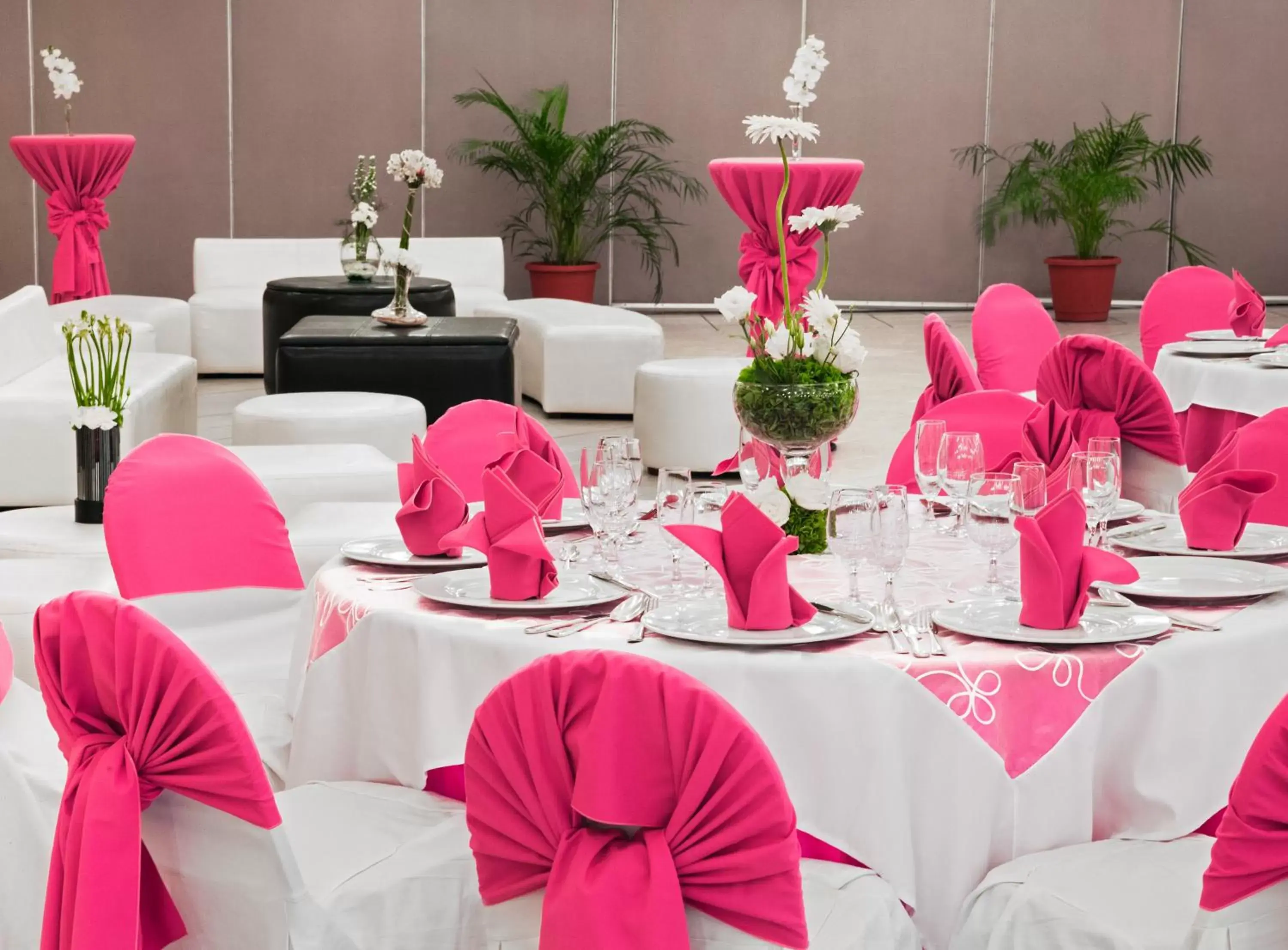 Banquet/Function facilities, Banquet Facilities in Hotel Viva Villahermosa