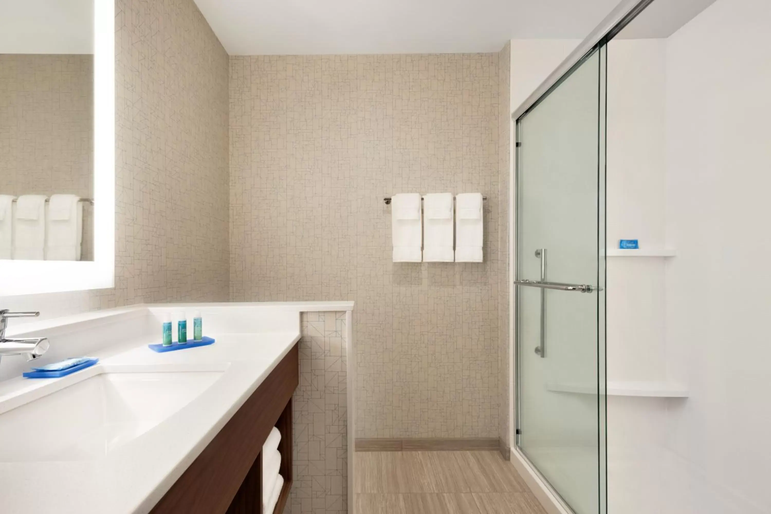 Shower, Bathroom in Holiday Inn Express & Suites - Cincinnati South - Wilder, an IHG Hotel