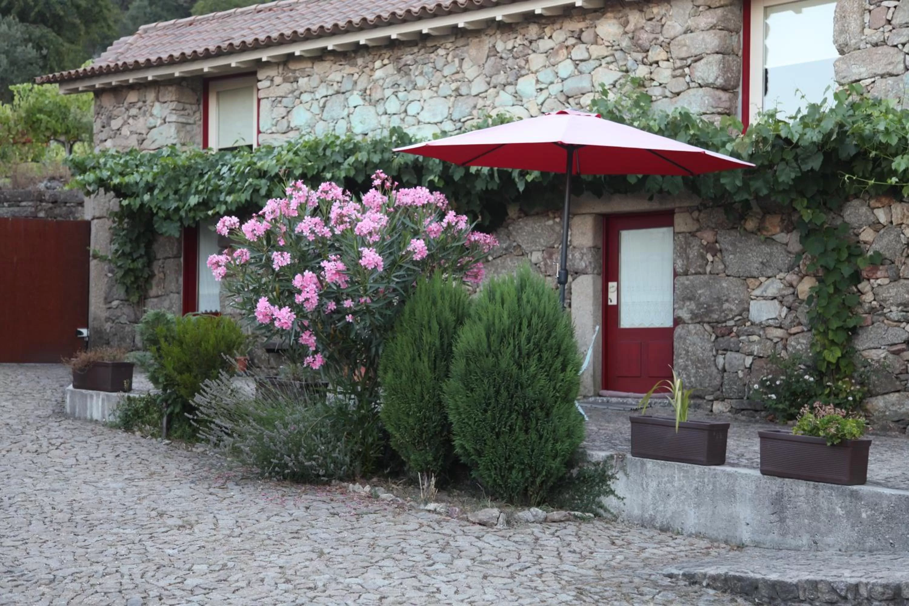 Patio in Quinta Pedras De Baixo