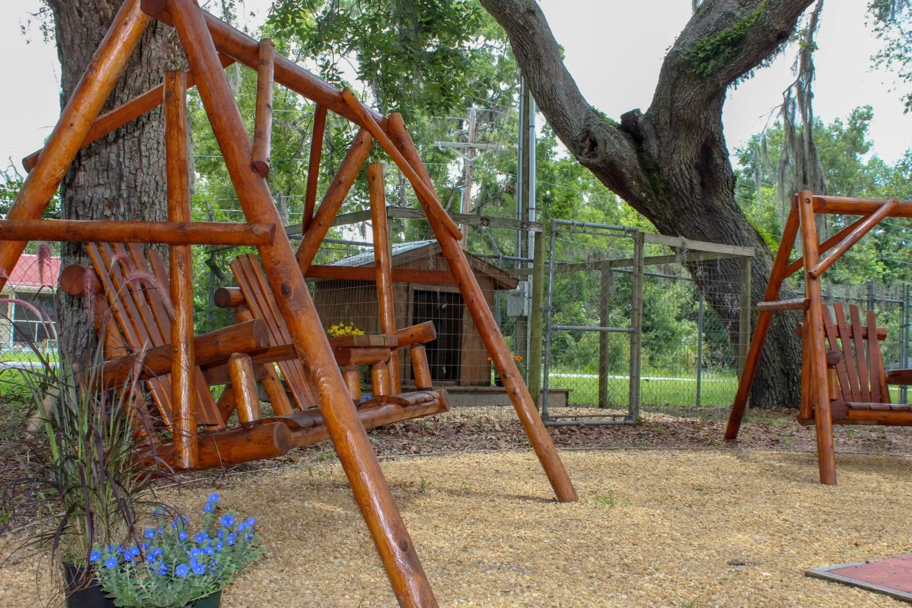 Entertainment, Children's Play Area in Steinhatchee River Inn and Marina