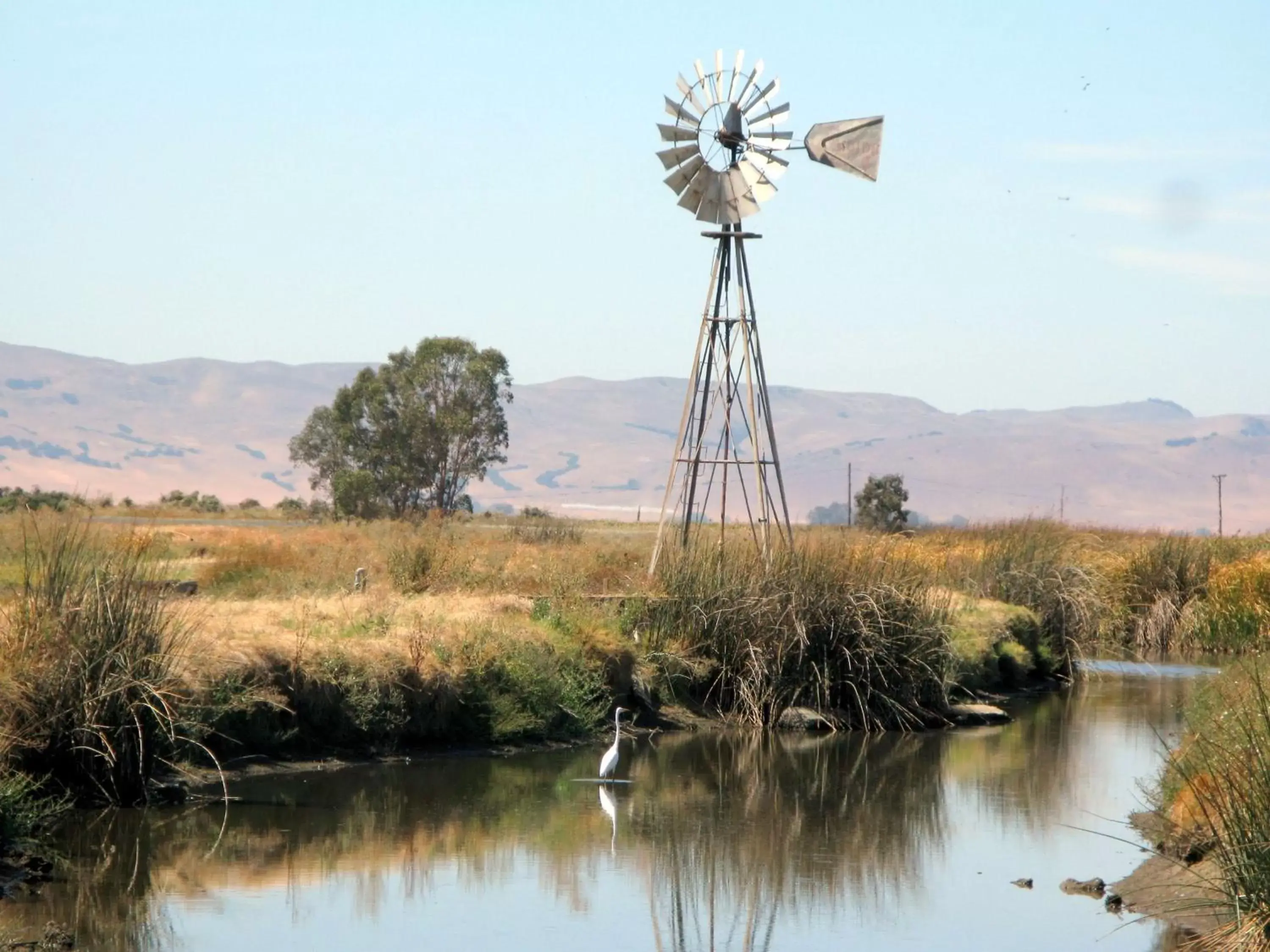 Property building in Hampton Inn & Suites Suisun City Waterfront