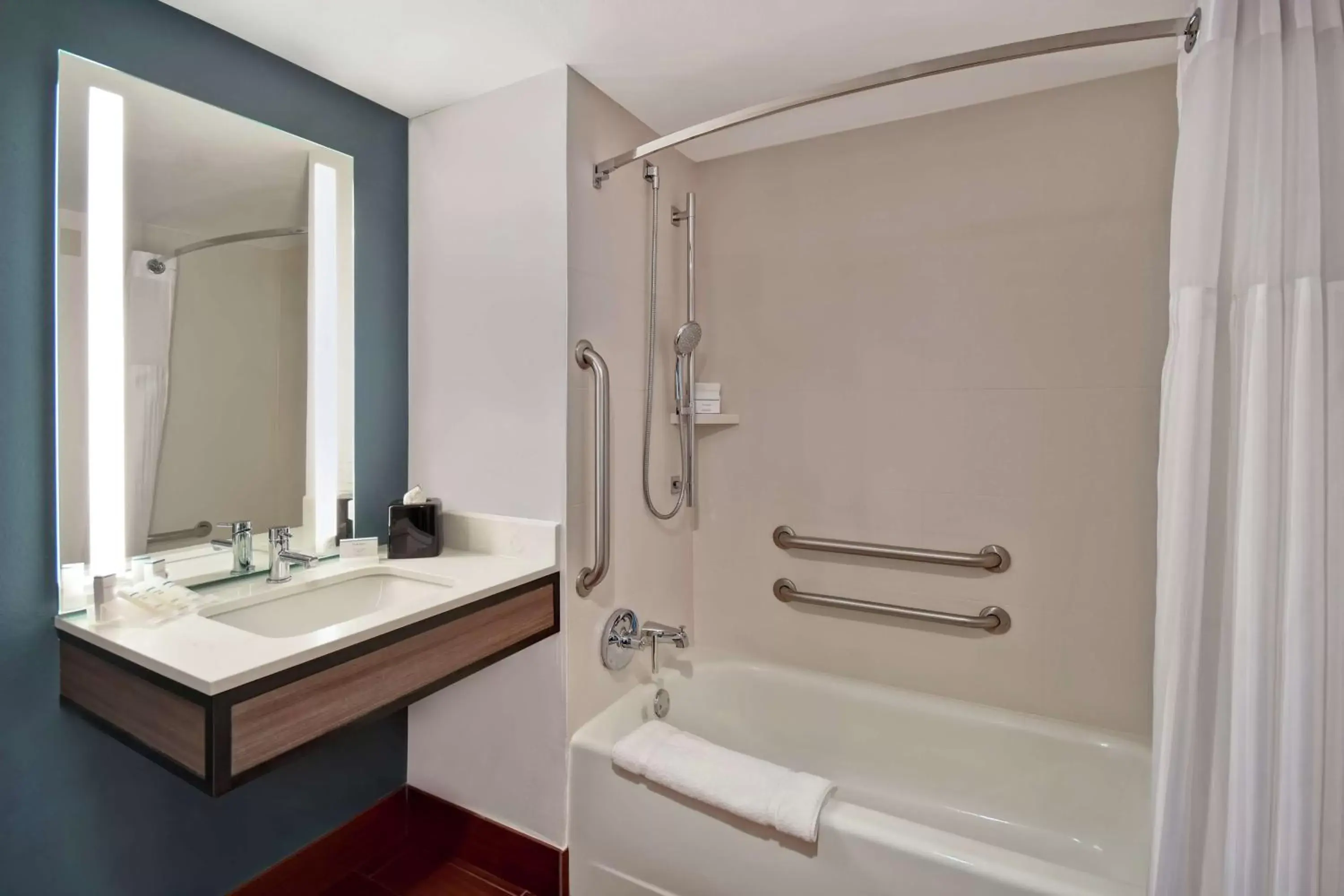 Bathroom in Hilton Garden Inn Houston/Galleria Area