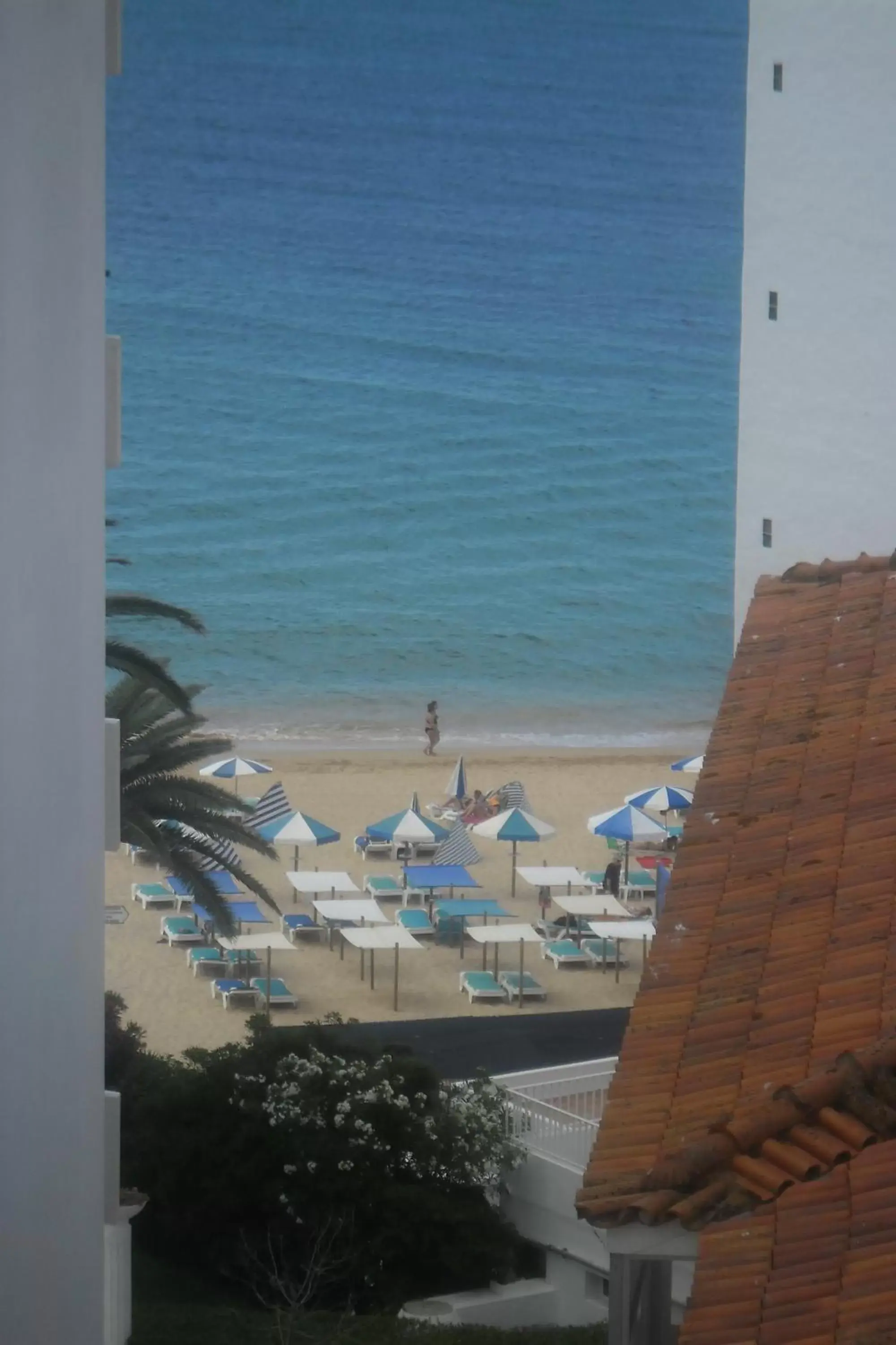 Sea view, Beach in Apartamentos Turisticos Lindomar