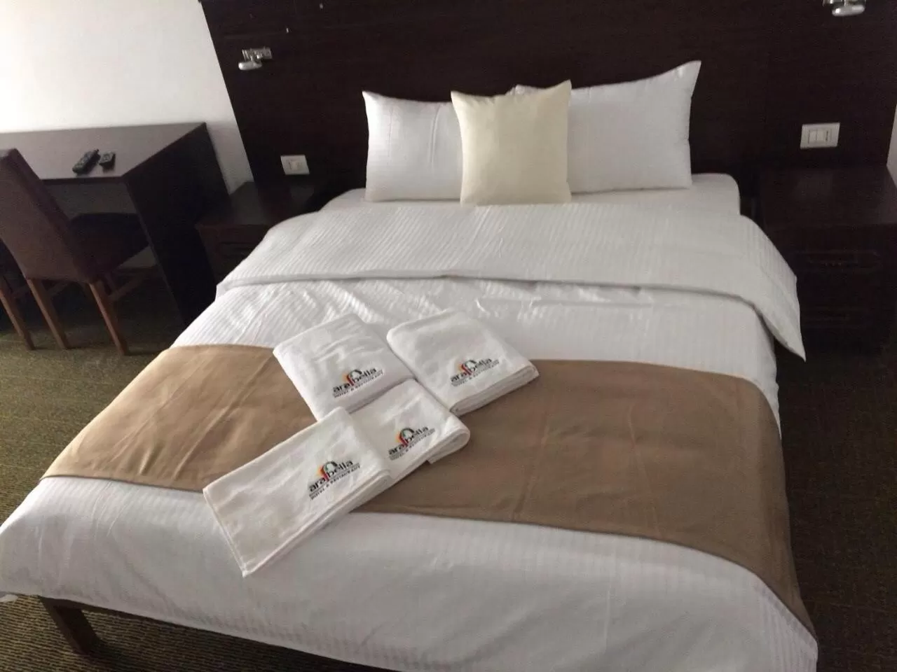 Double or Twin Room in Arabella Hotel