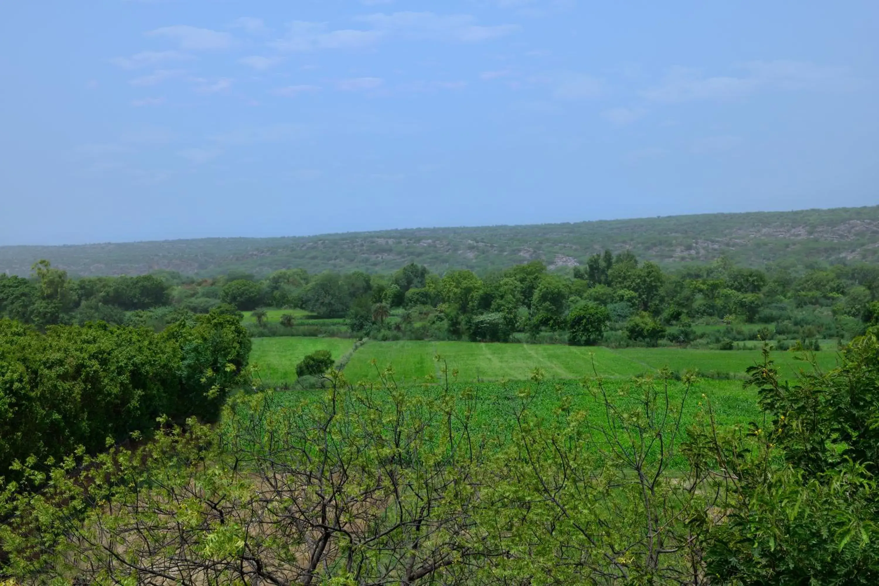 Mountain view, Natural Landscape in Courtyard by Marriott Aravali Resort