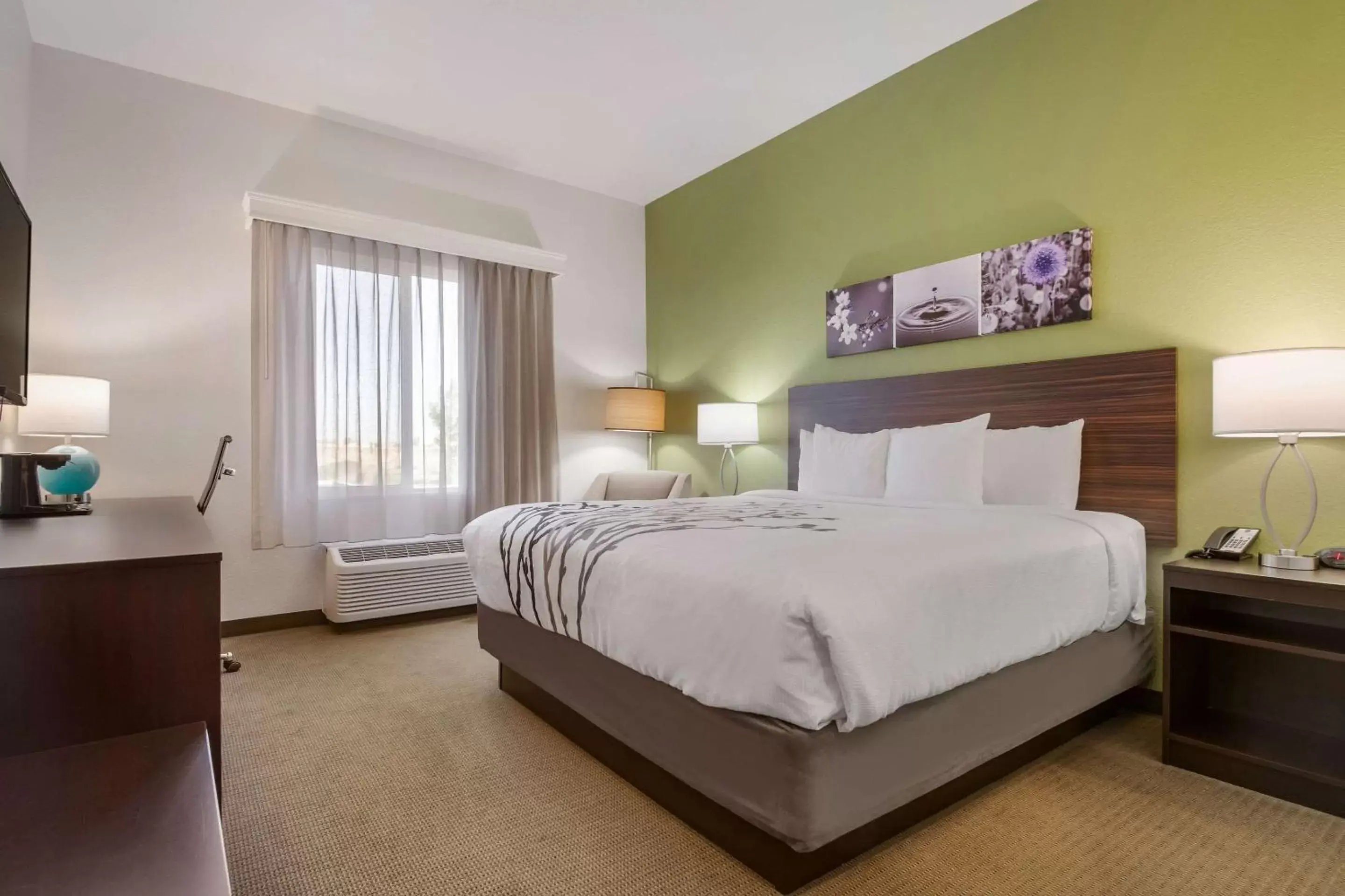 Photo of the whole room, Bed in Sleep Inn Boardman Photo of the whole room, Bed in Sleep Inn Boardman