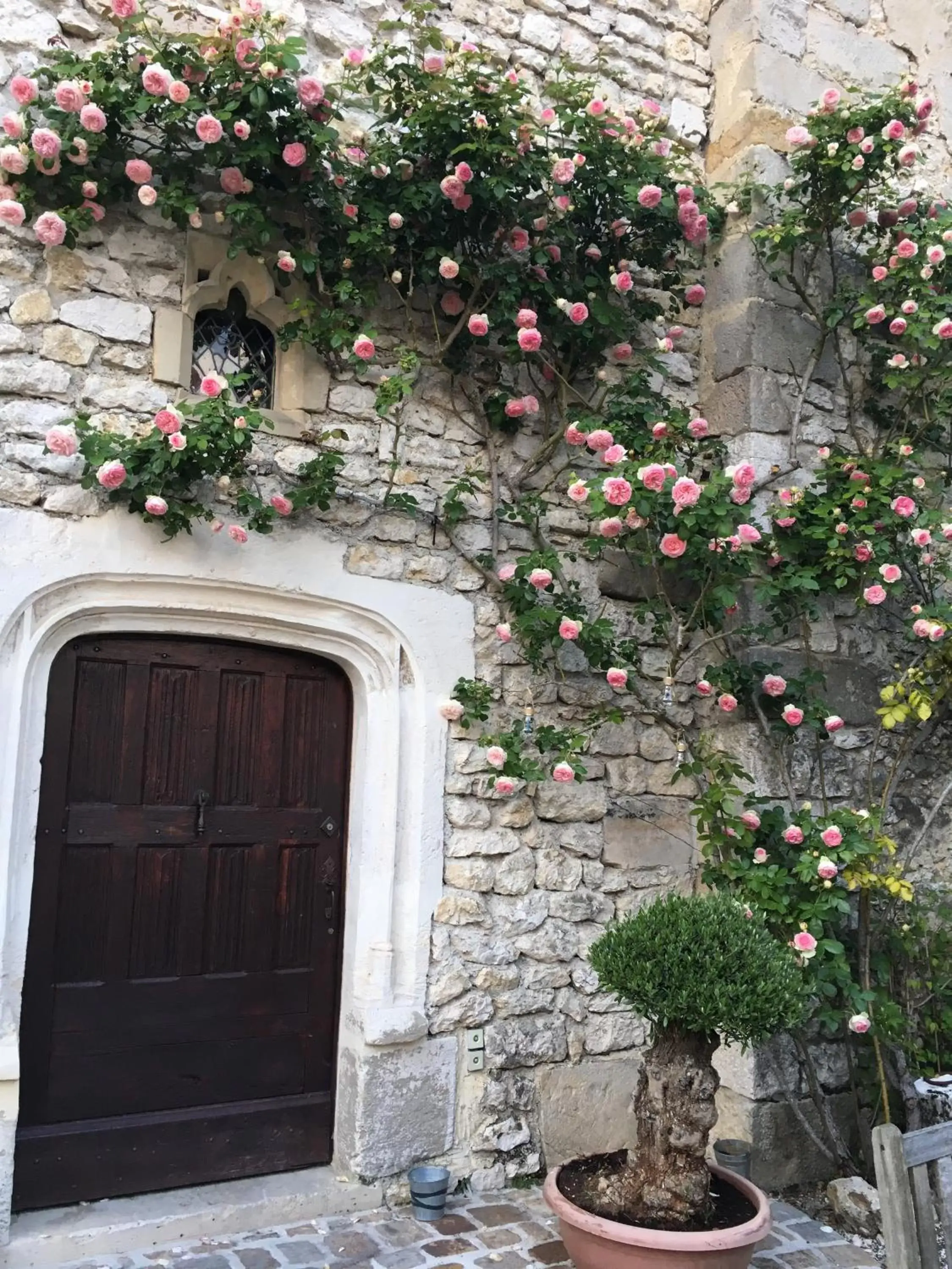 Garden in Demeure des Vieux Bains