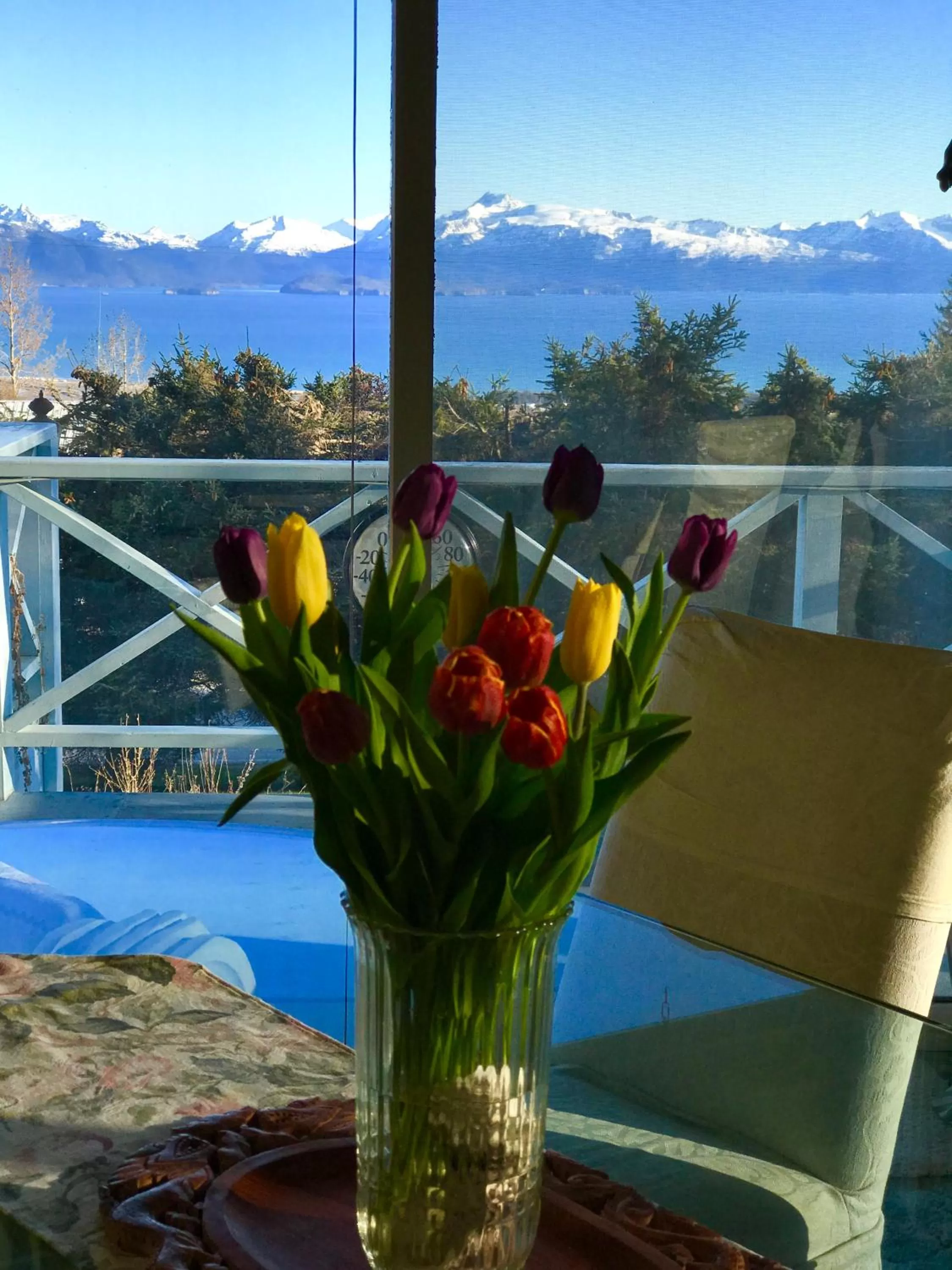 Sea view in Halcyon Heights B&B/Inn