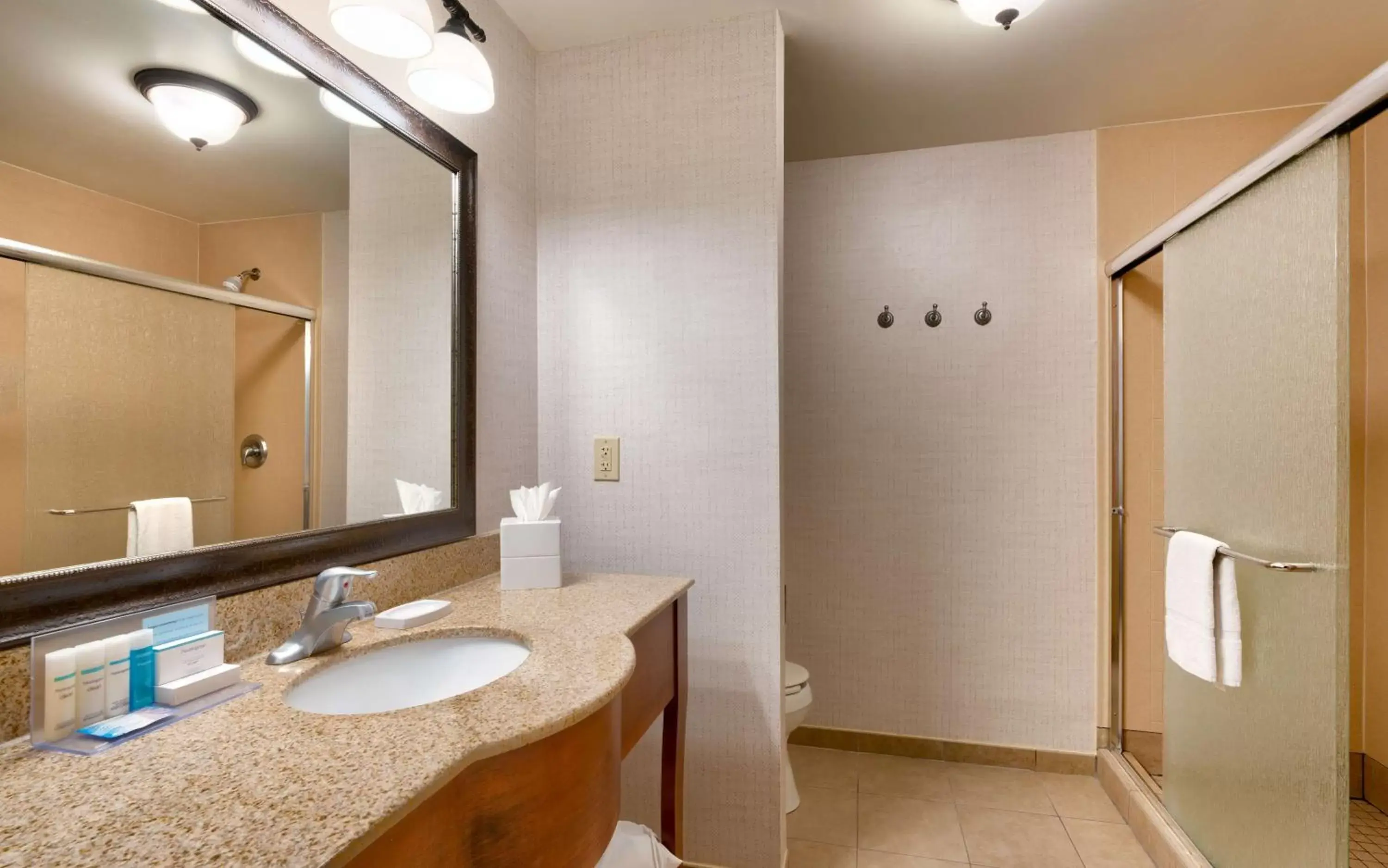 Bathroom in Hampton Inn & Suites Show Low-Pinetop