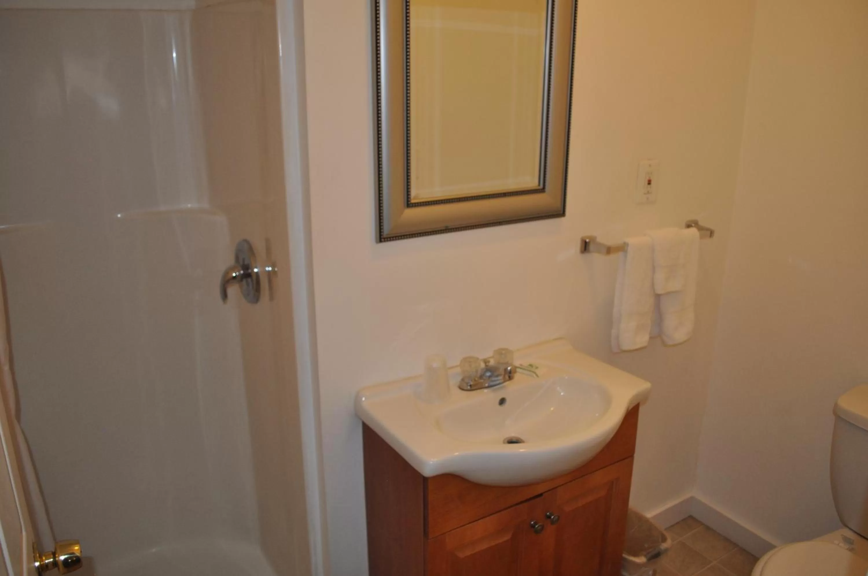 Bathroom in Golden Lion Motel