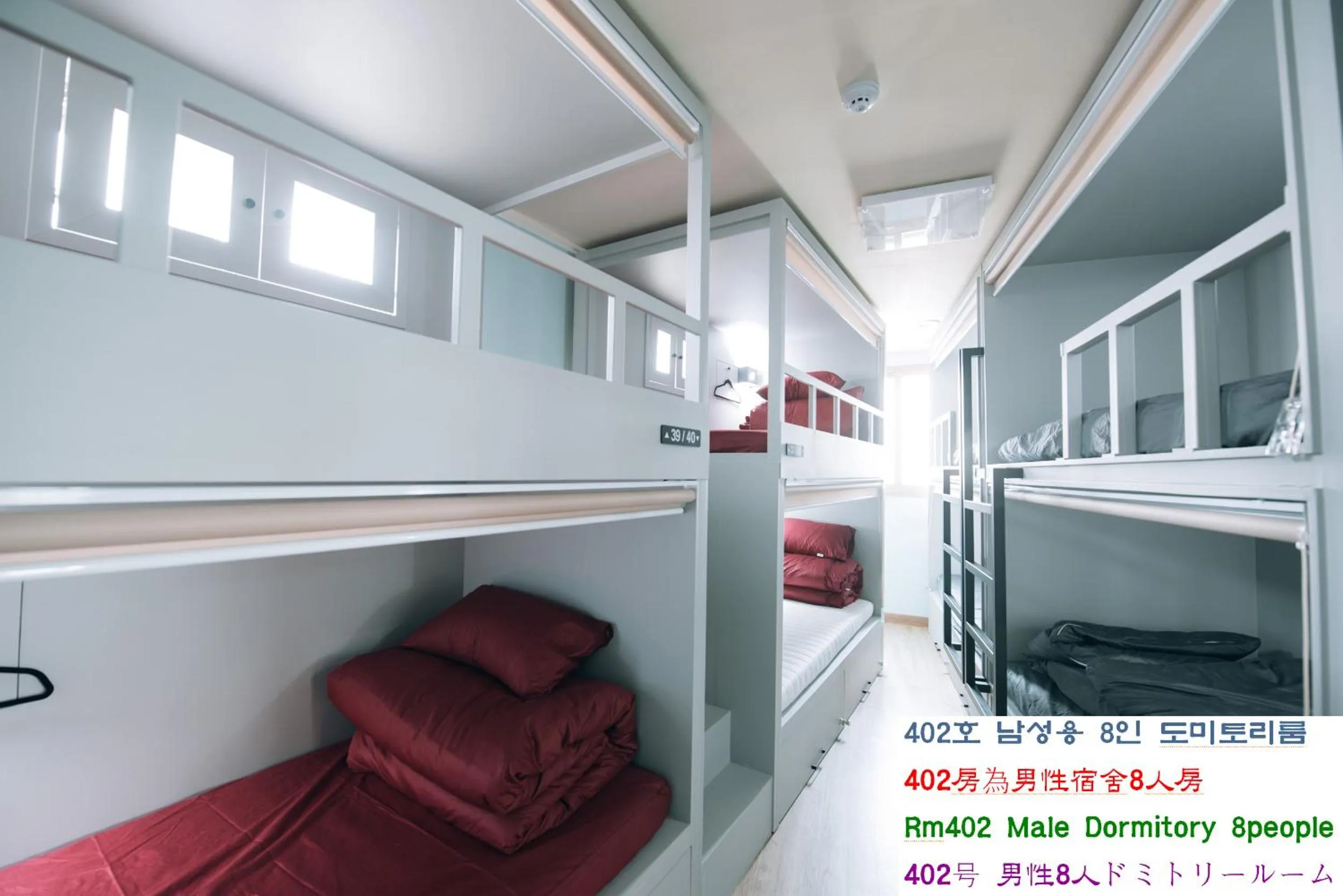 Bed in Daegu Midtown Hostel