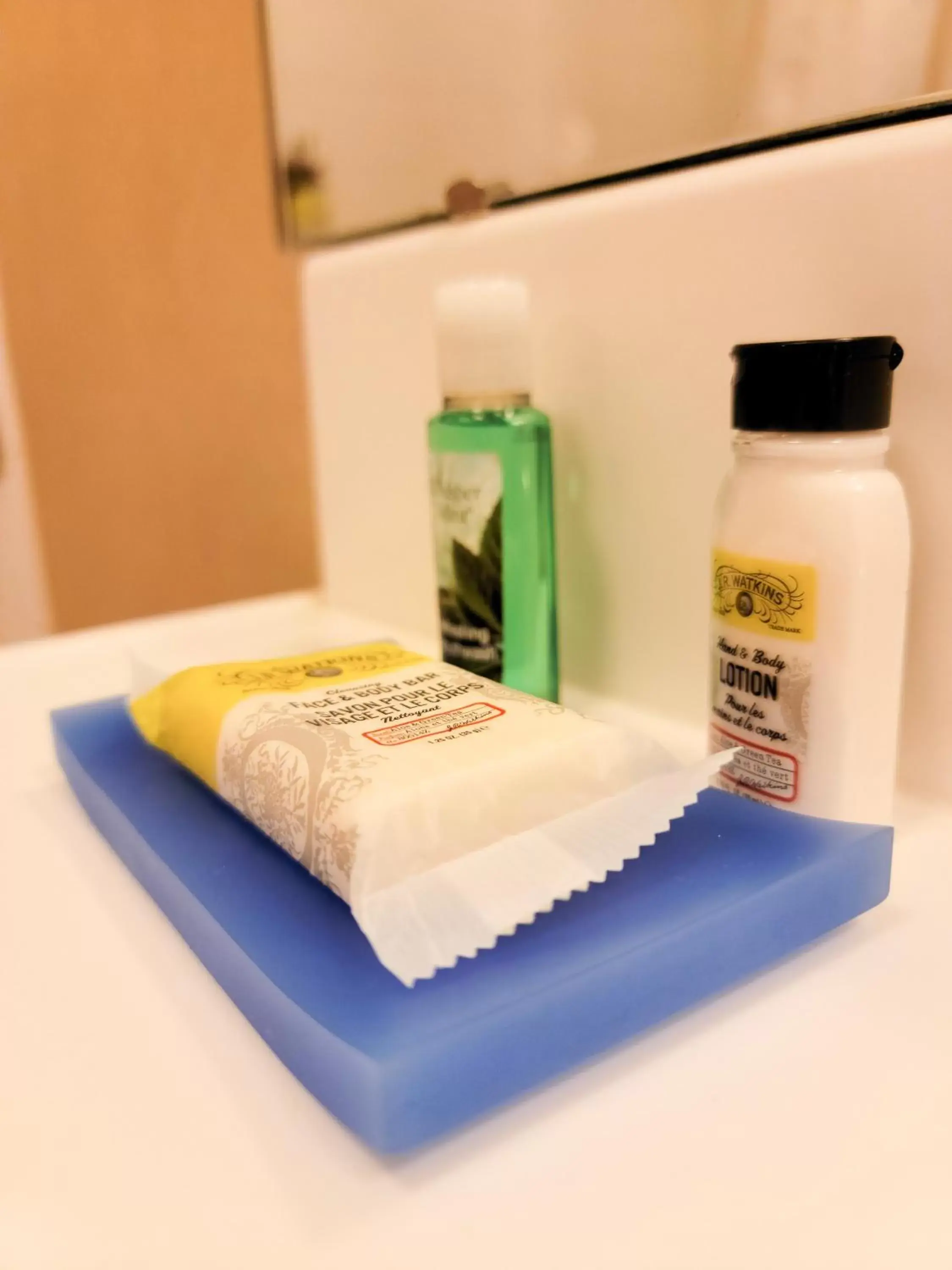 Executive King Room - Disability Access Tub/Non-Smoking in Holiday Inn Express Hotel & Suites Portland-Northwest Downtown by IHG Executive King Room - Disability Access Tub/Non-Smoking in Holiday Inn Express Hotel & Suites Portland-Northwest Downtown by IHG