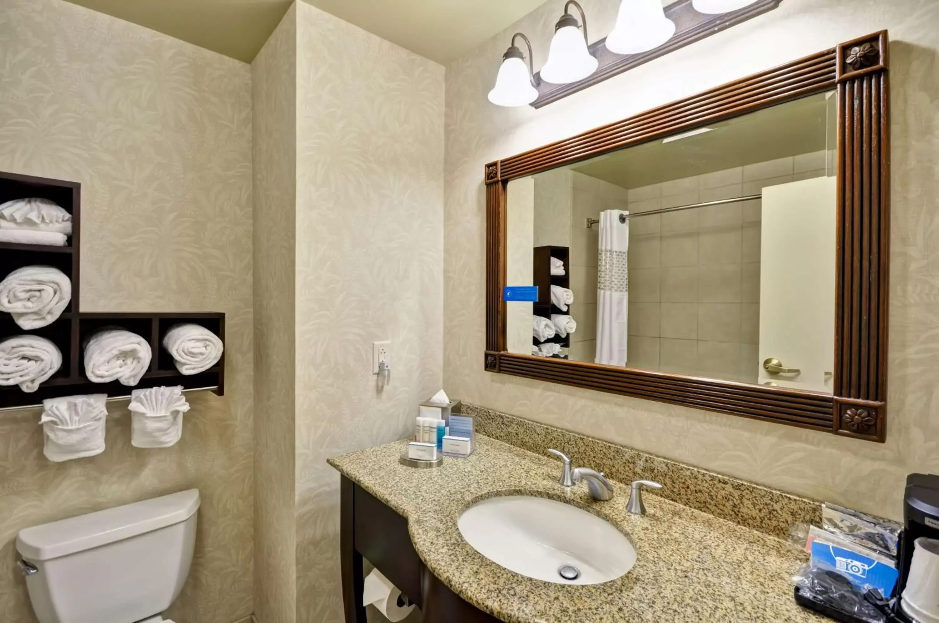 Bathroom in Hampton Inn & Suites North Charleston-University Boulevard