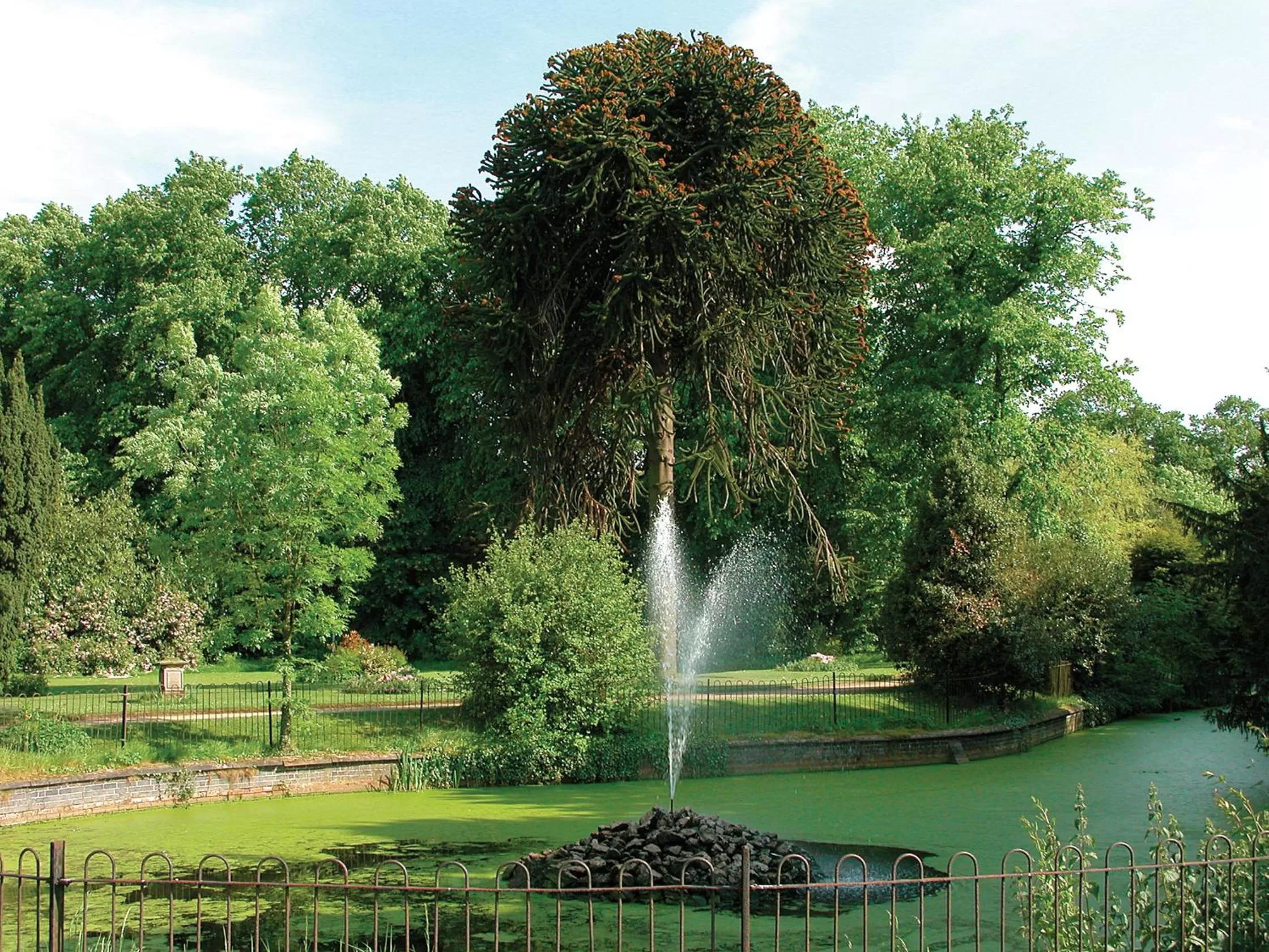 Natural landscape in Bosworth Hall Hotel