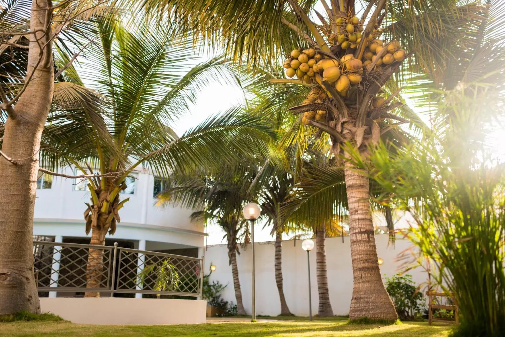 Garden view in La Résidence