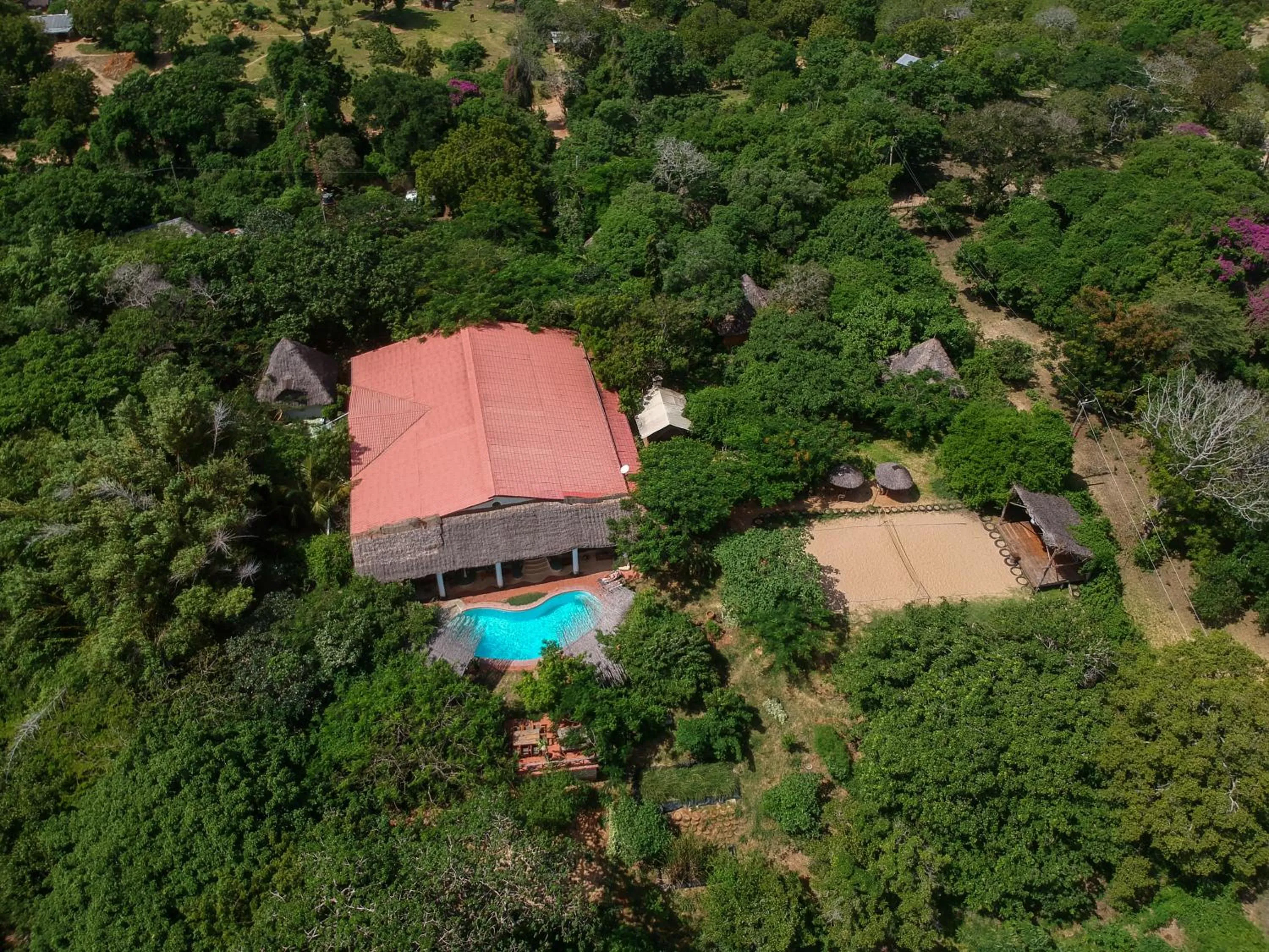 Bird's eye view in Distant Relatives Ecolodge & Backpackers