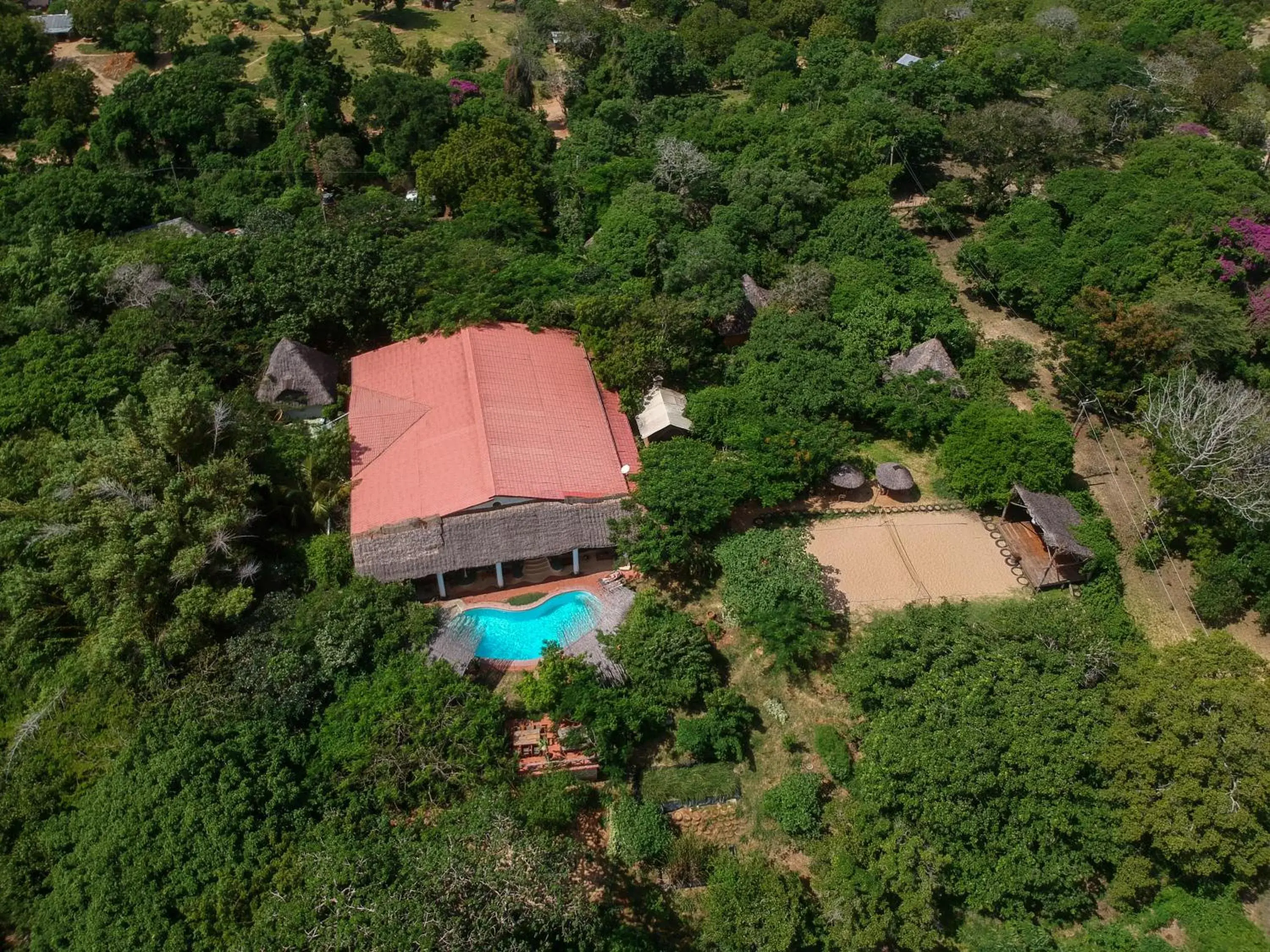Bird's eye view, Bird's-eye View in Distant Relatives Ecolodge & Backpackers